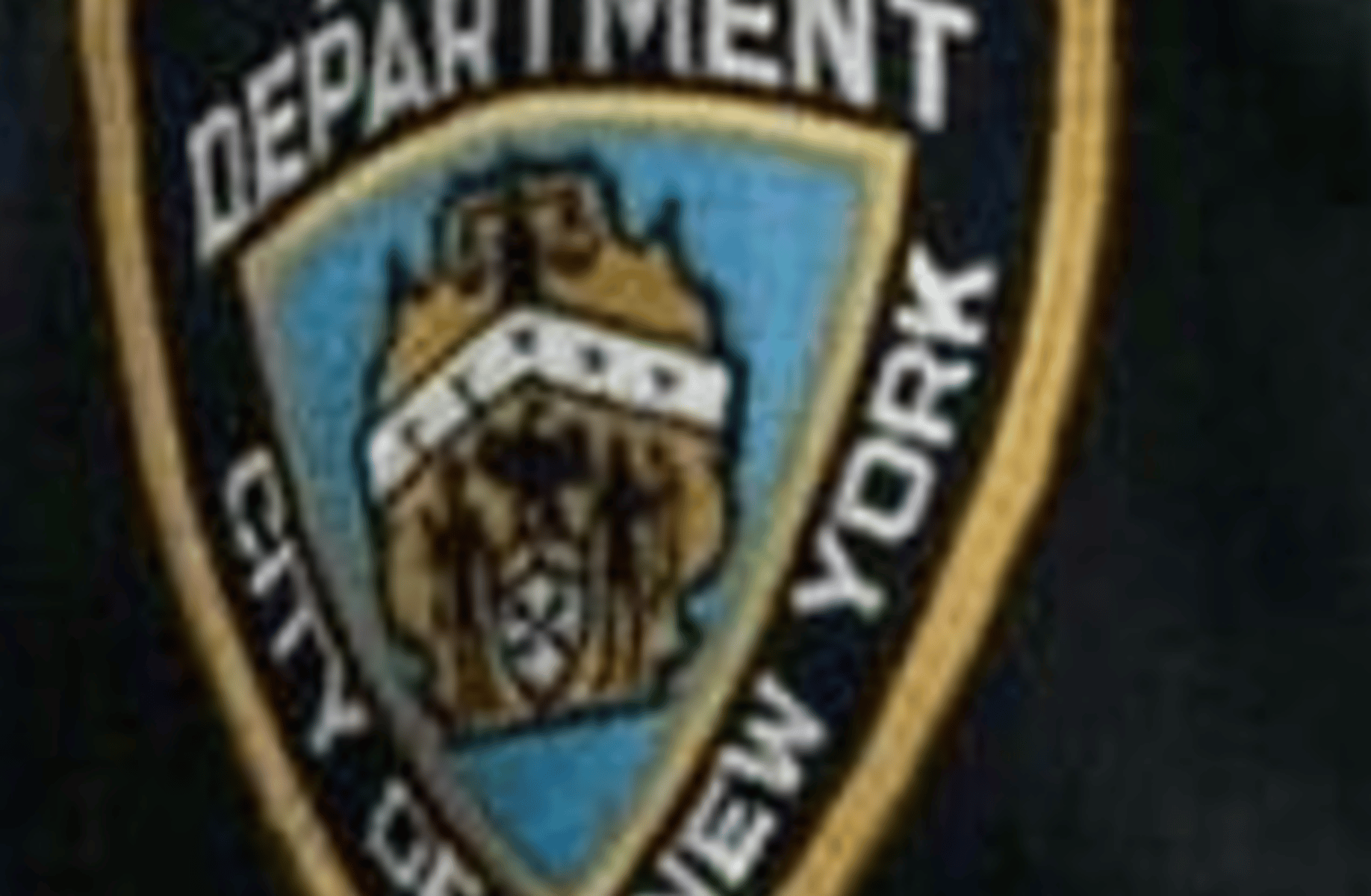 Jake Peralta
