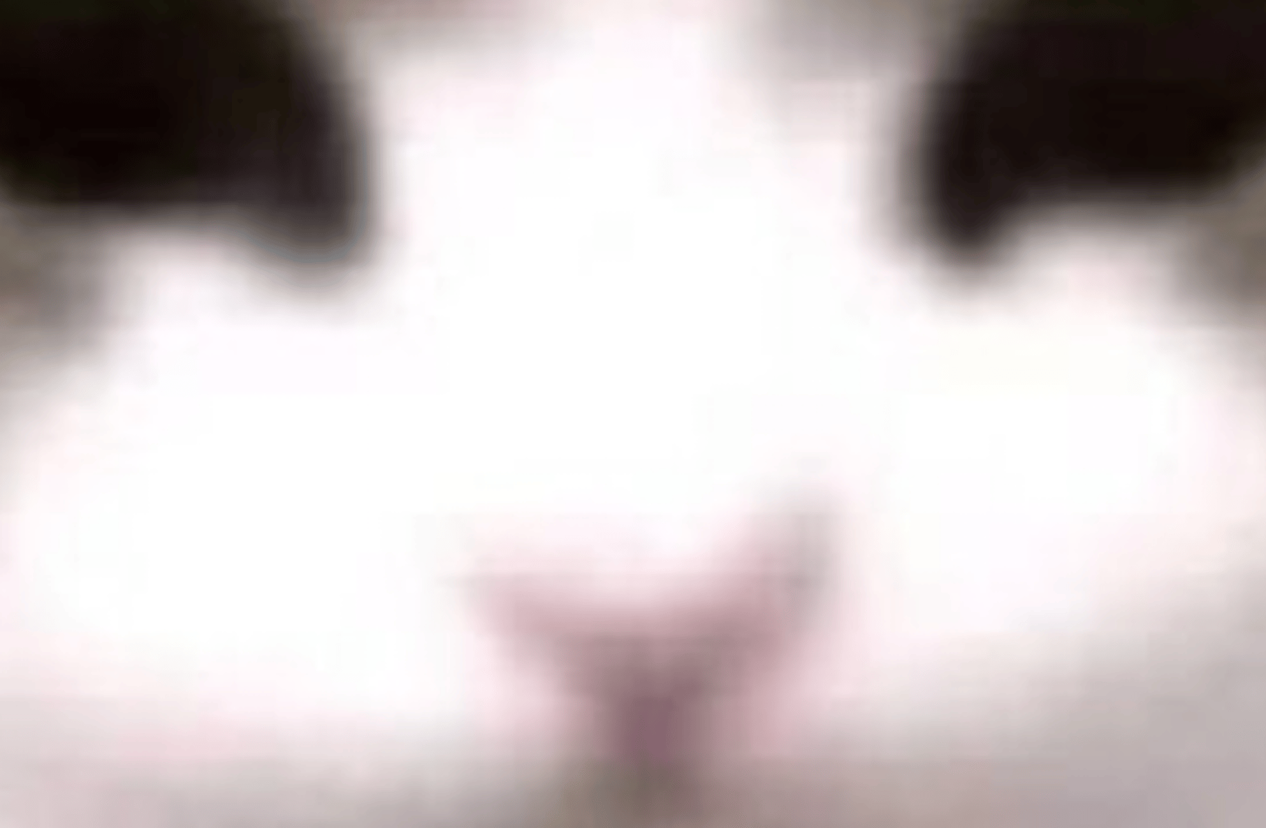 Will