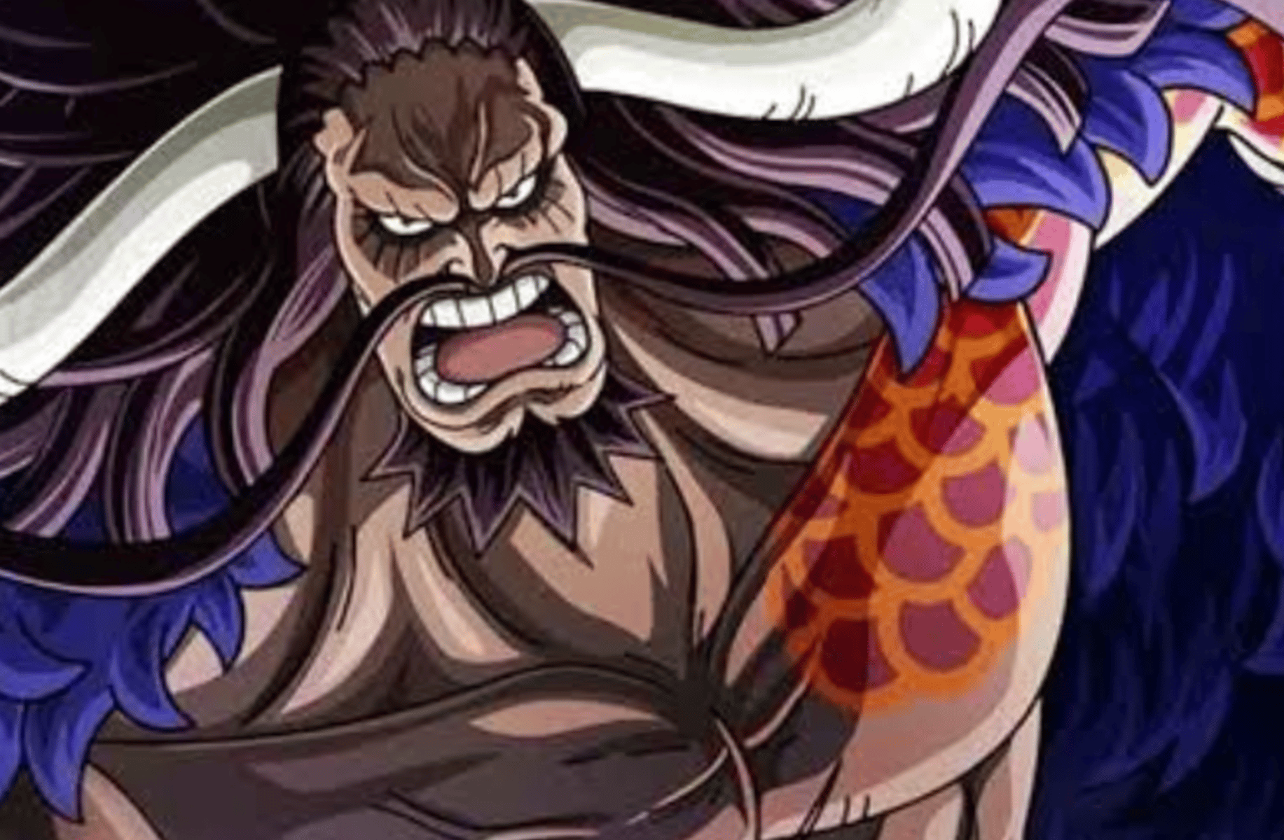 Kaido
