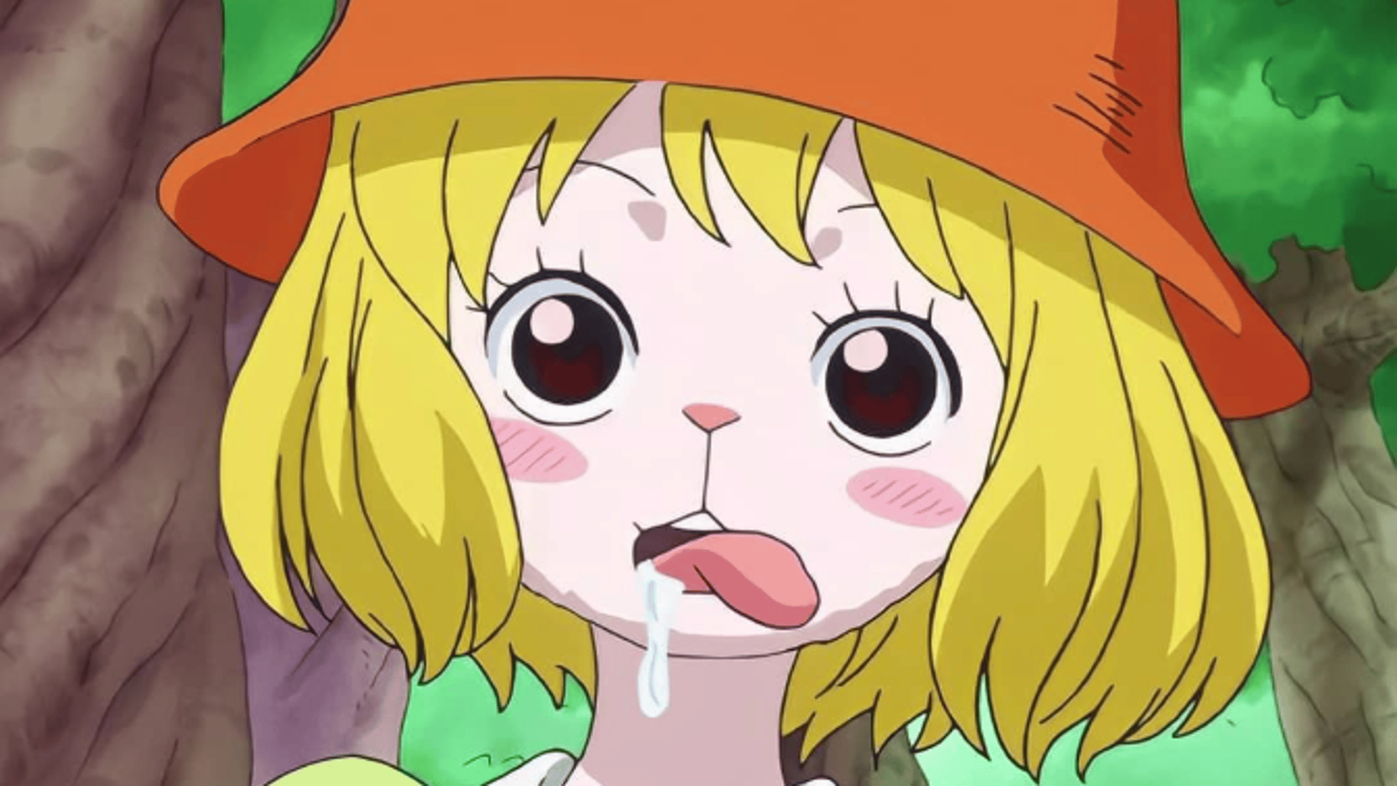 Carrot