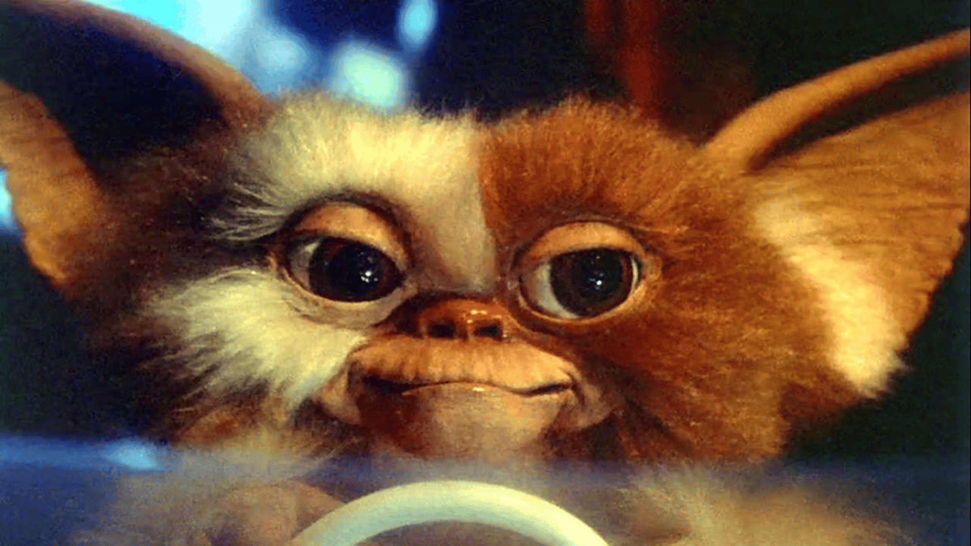 Gizmo