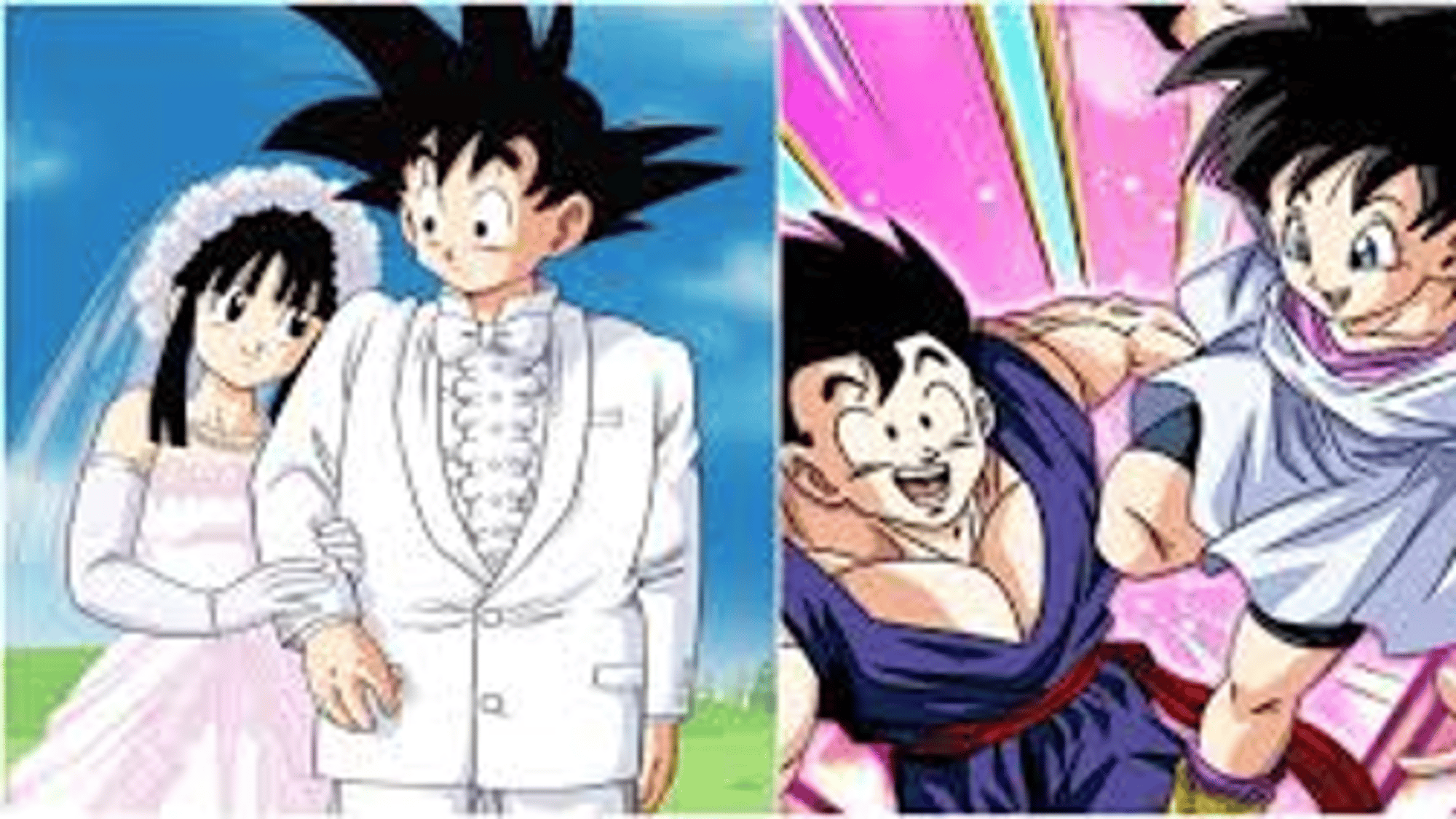 gohan and Goku and wives