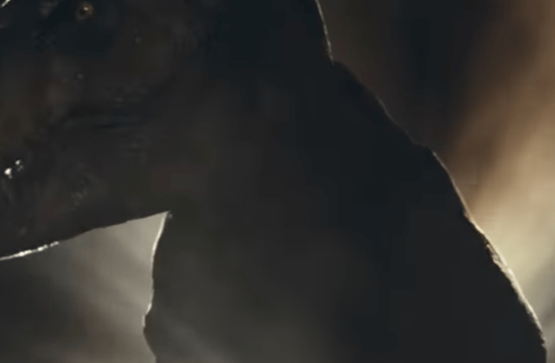 Rexy