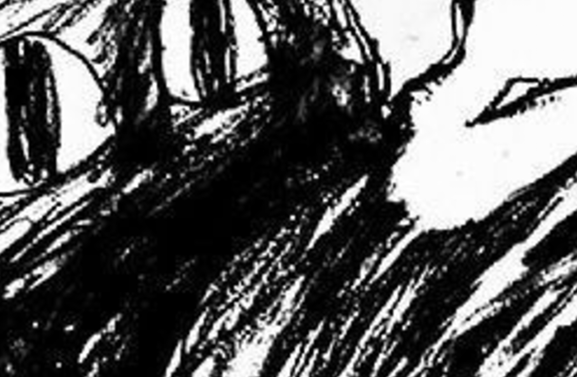 Omori