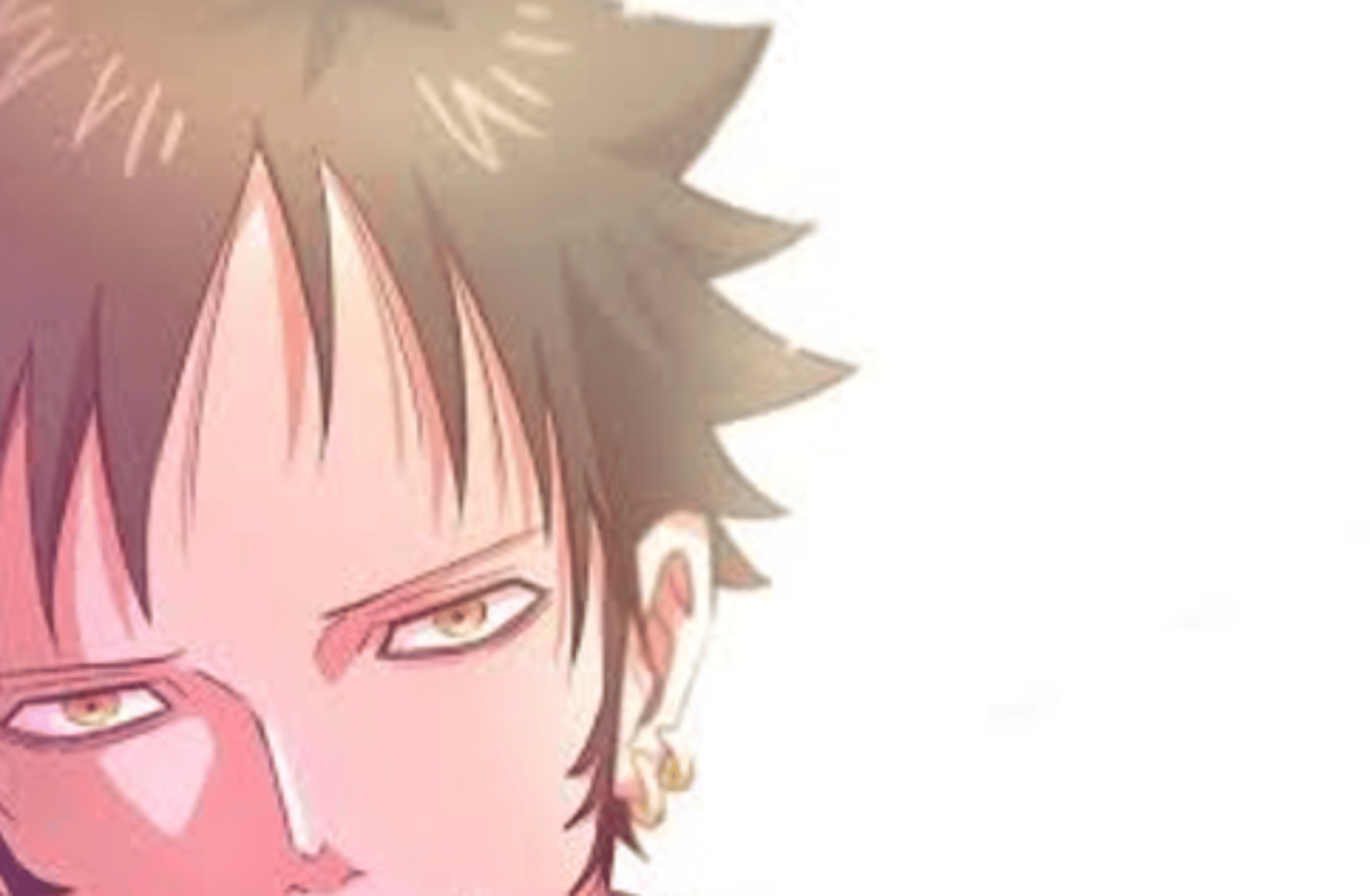 Law