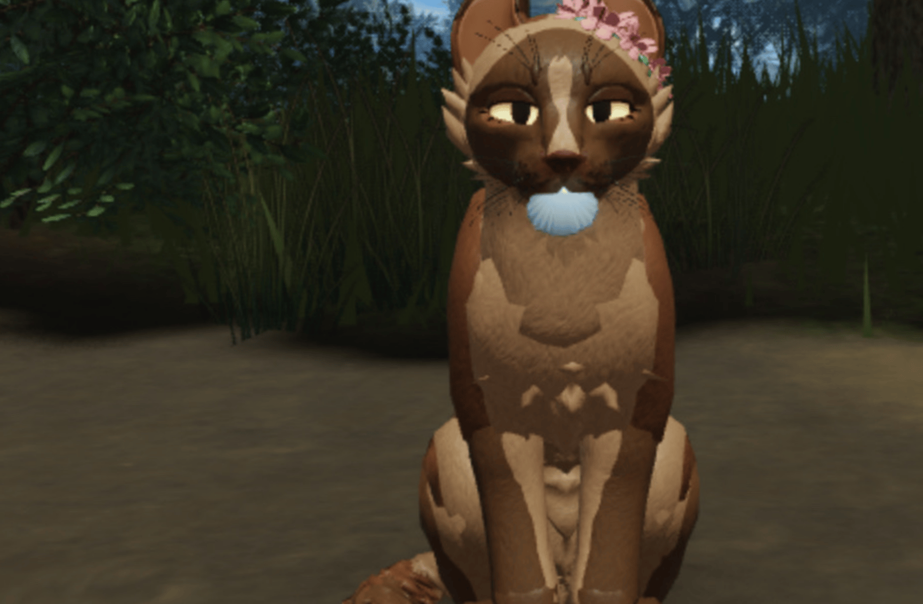 MinkBelly