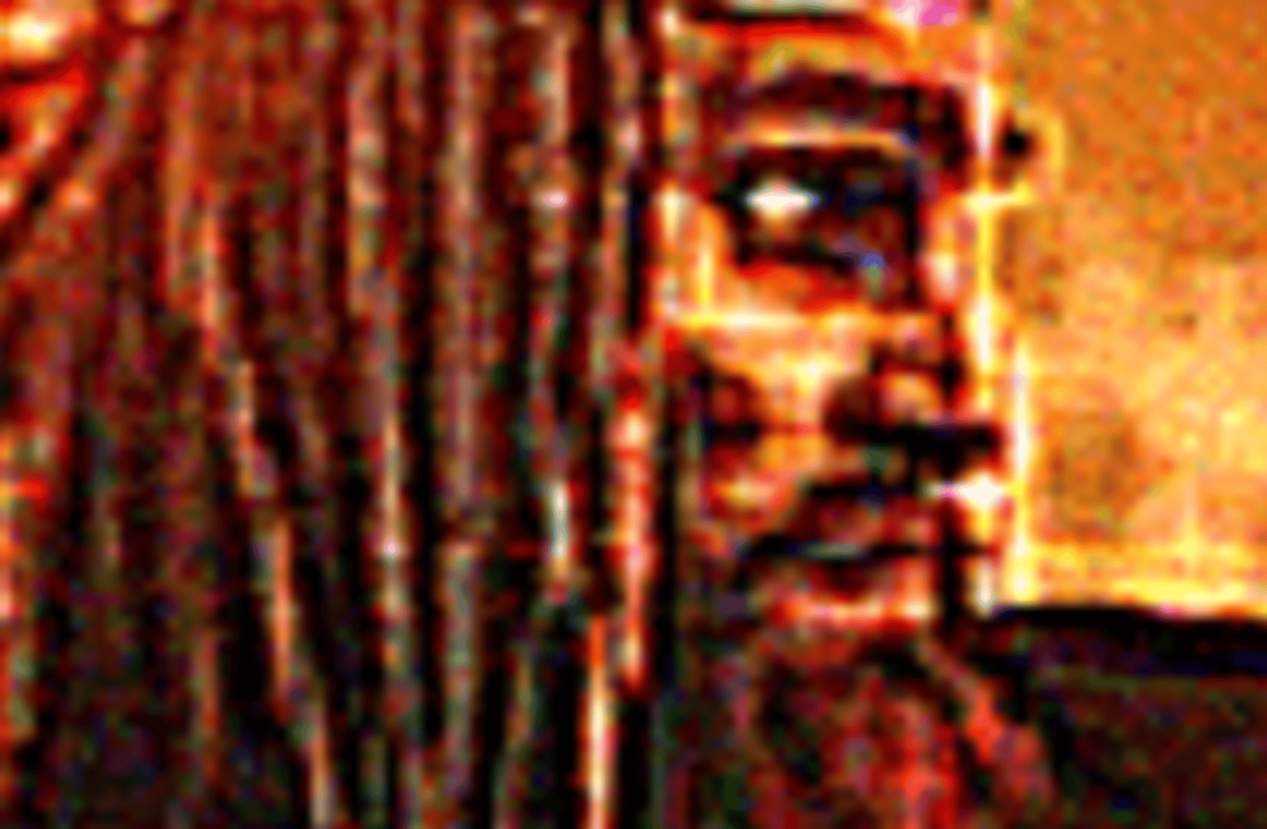 Kungen