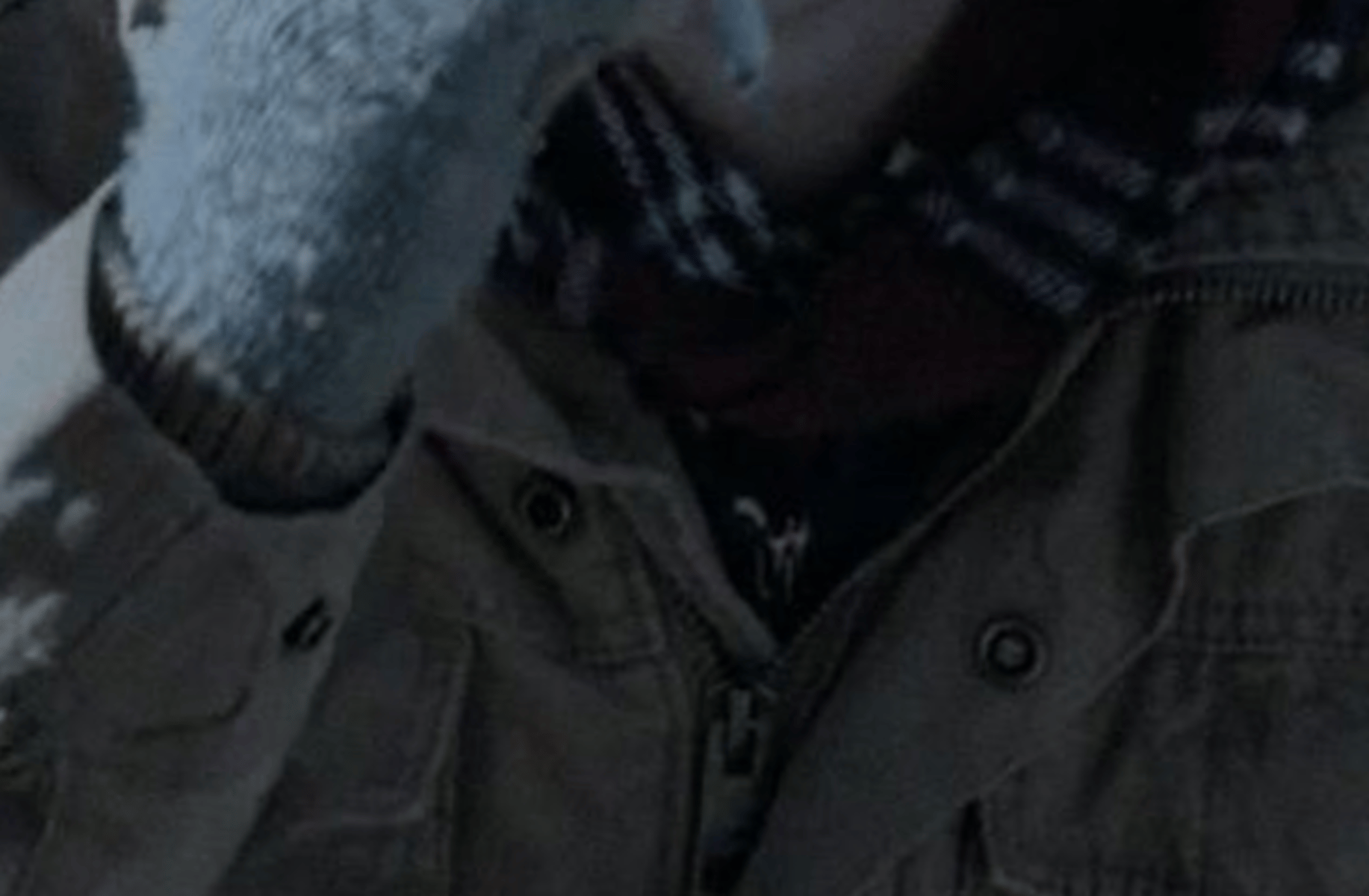 Lip Gallagher