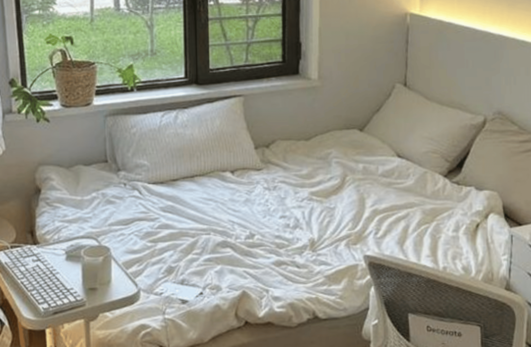 Xiao (Roommate)
