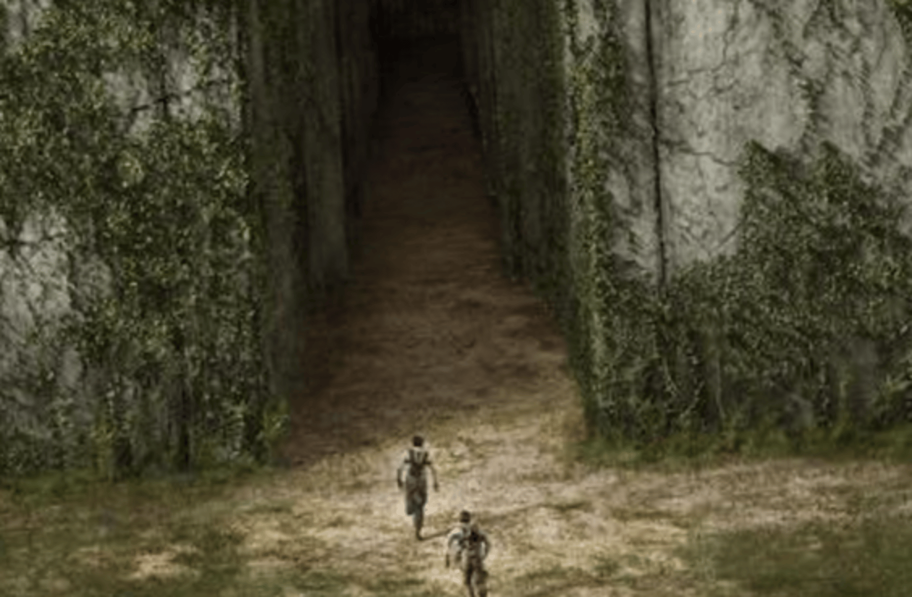 The maze runner