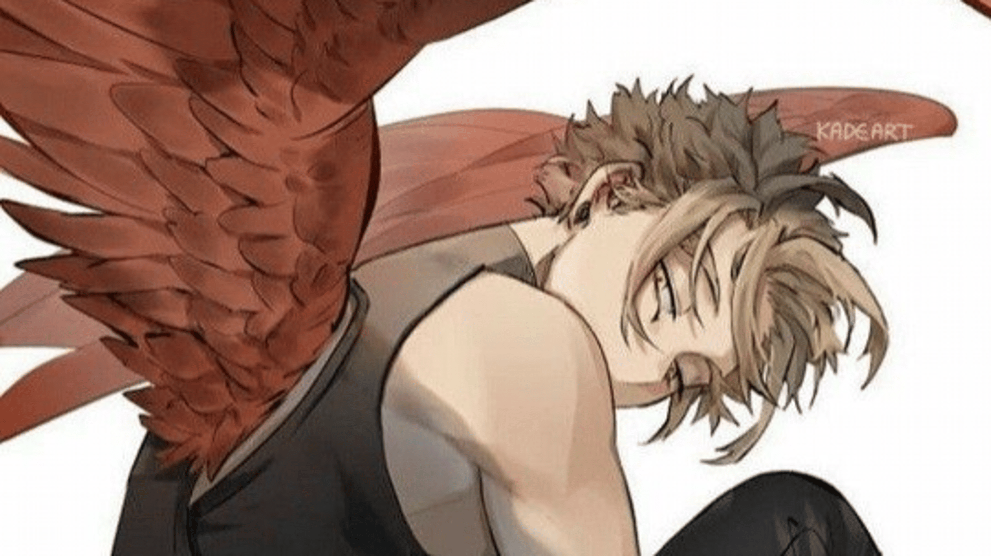 Hawks