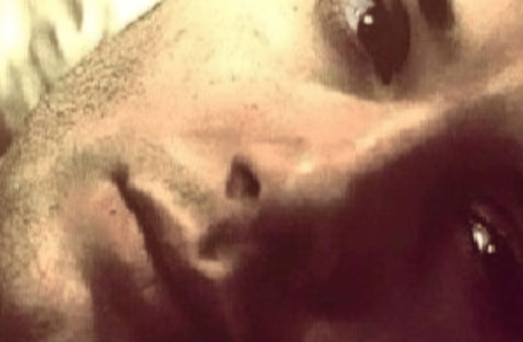 Dean Winchester