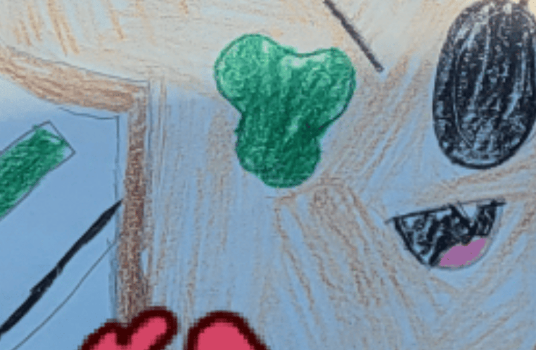 Moldy bread/moldy