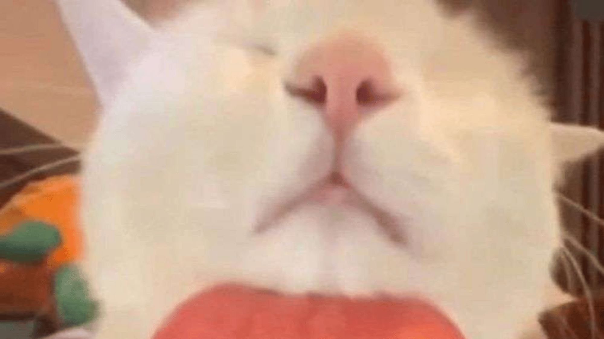 Sammy