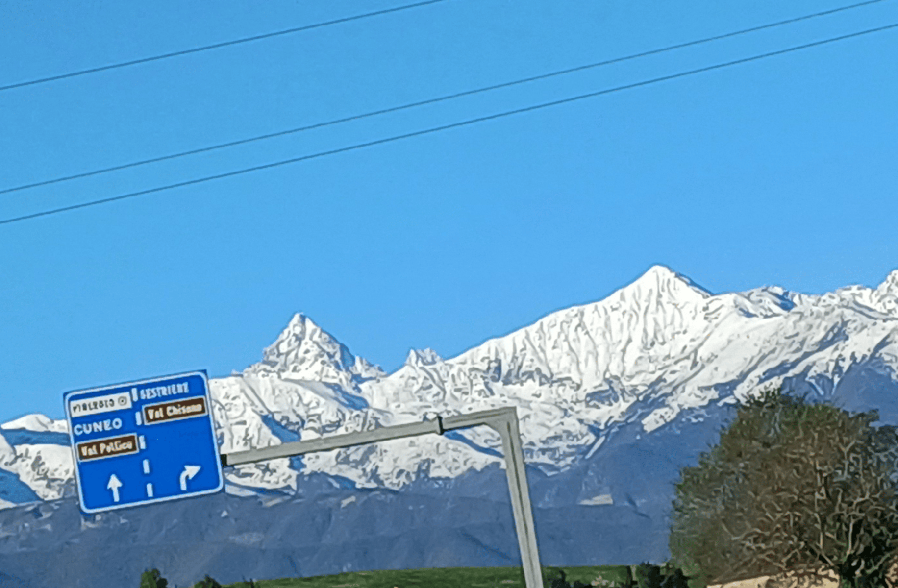 Cammeluzzo struzzo