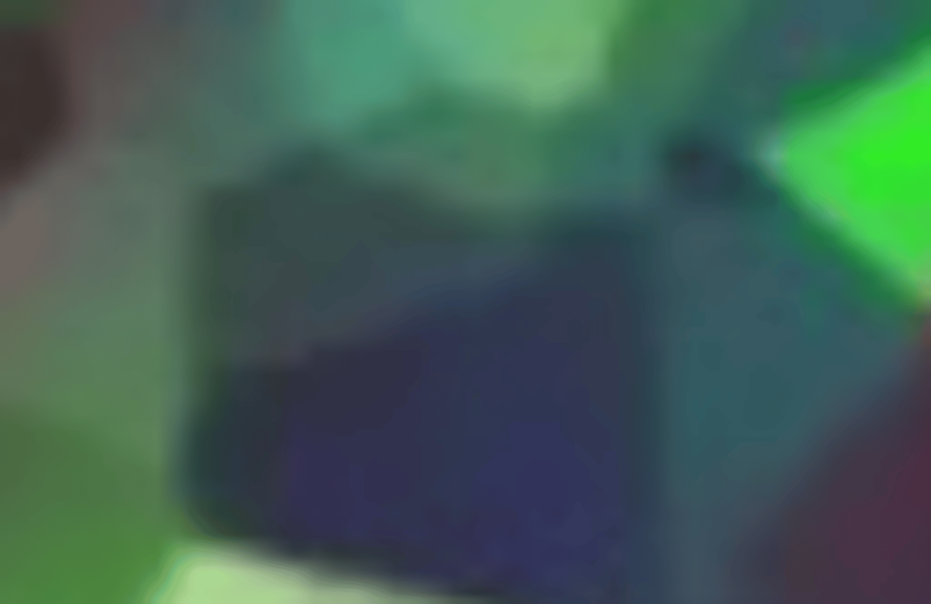 Bob
