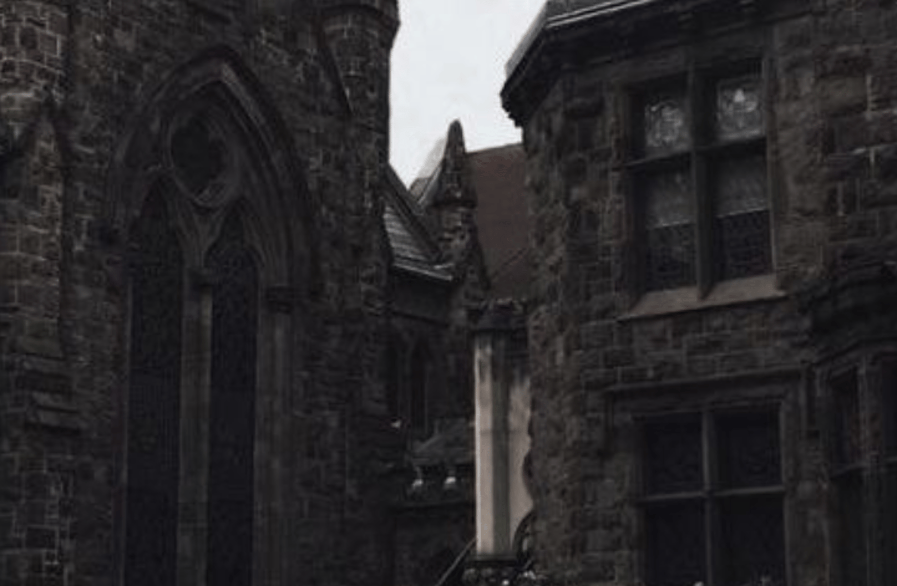 Regulus Black