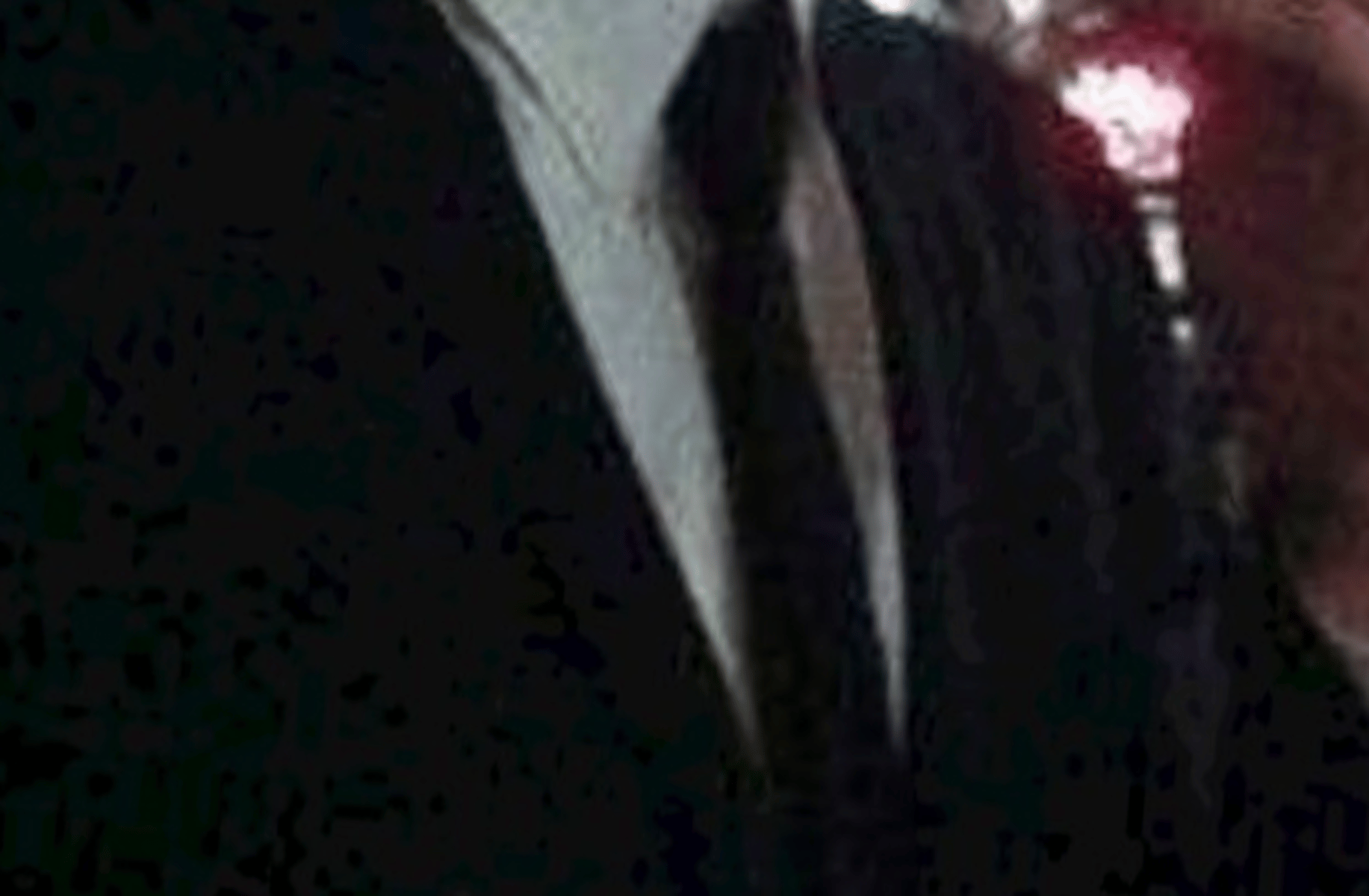 Harvy Quinn