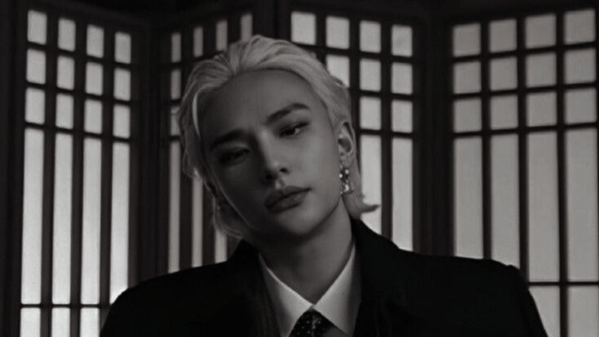 Hyunjin(mafia husband)