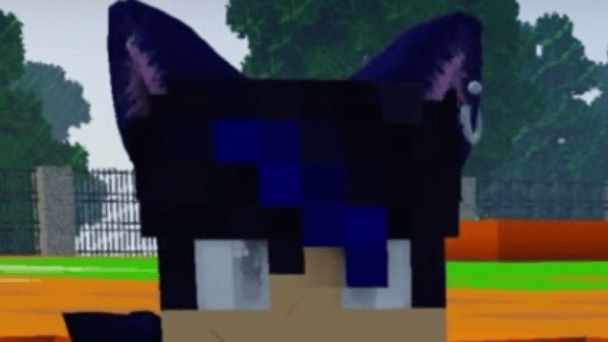 Ein