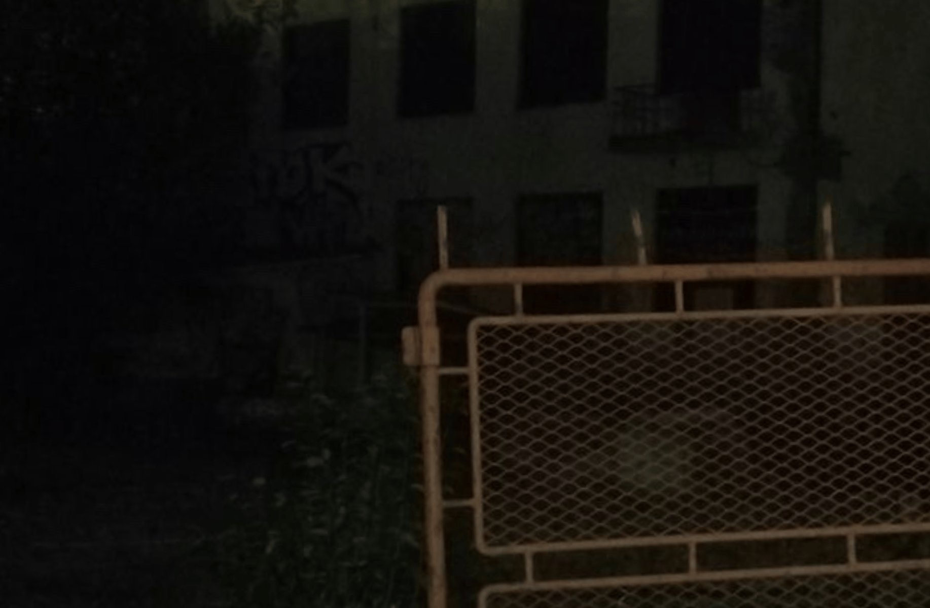 Morgan (Zombie Survivor)