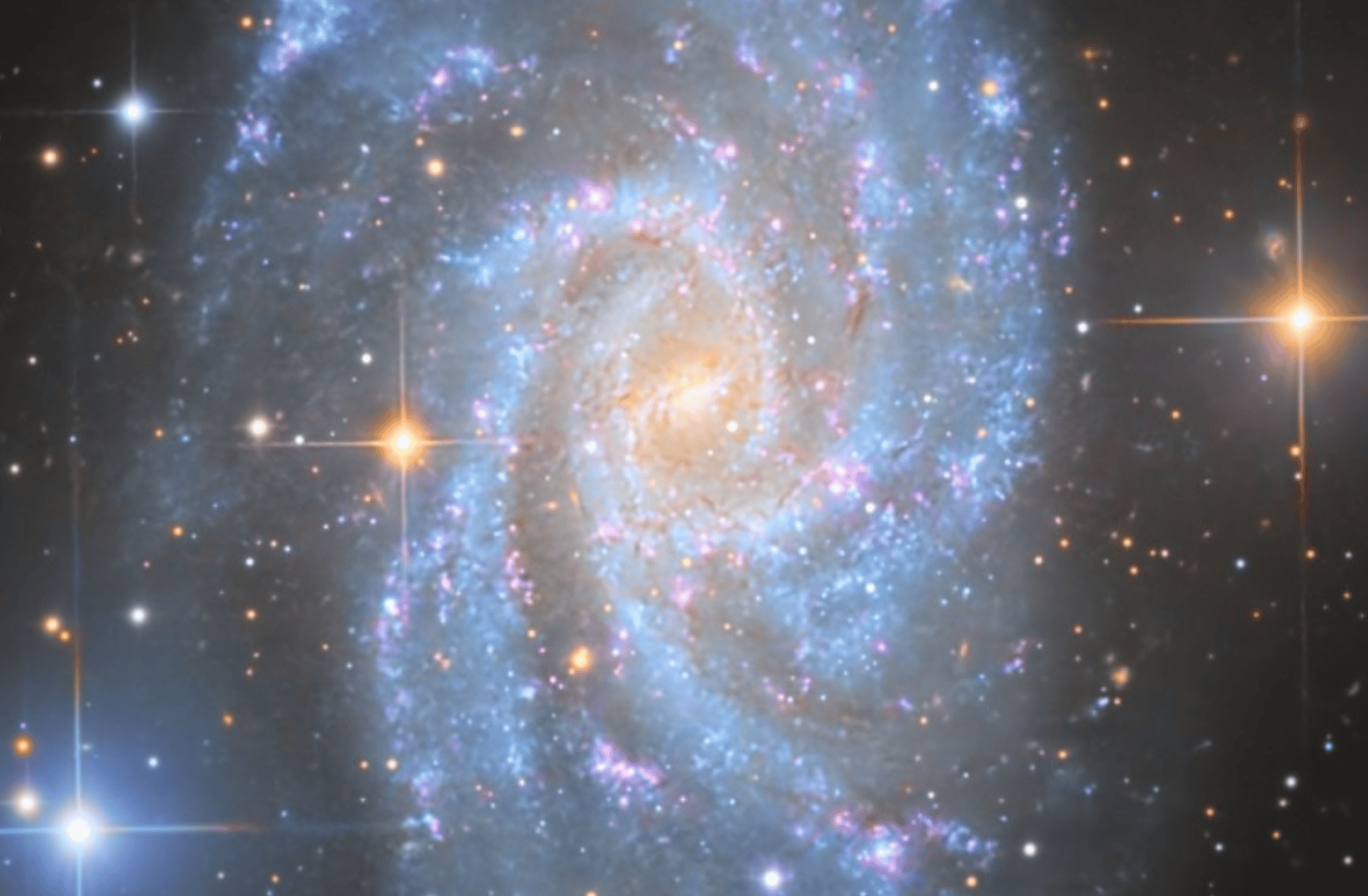 DARK ENCHANTRESS WAR!!!