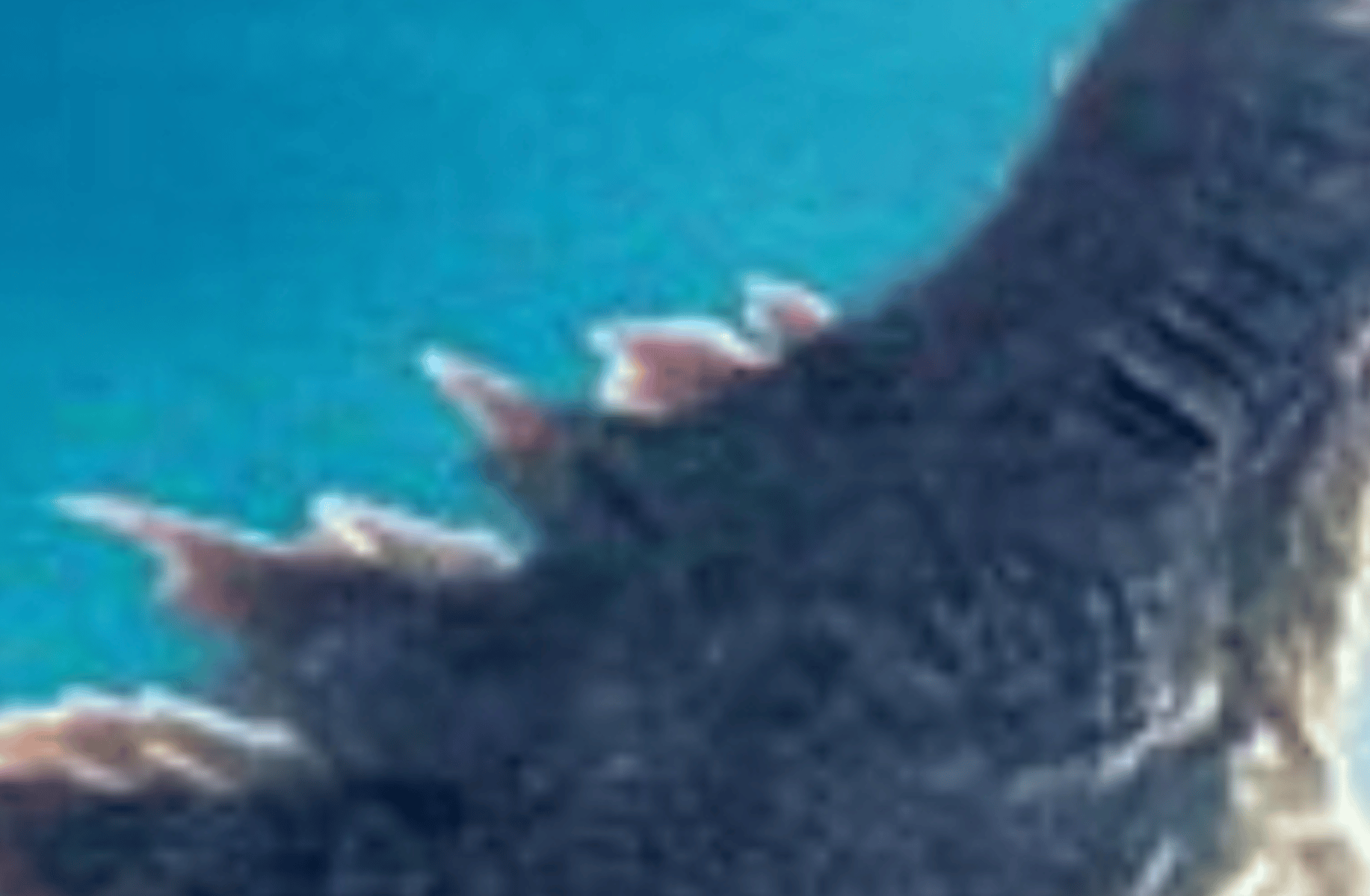 Godzilla