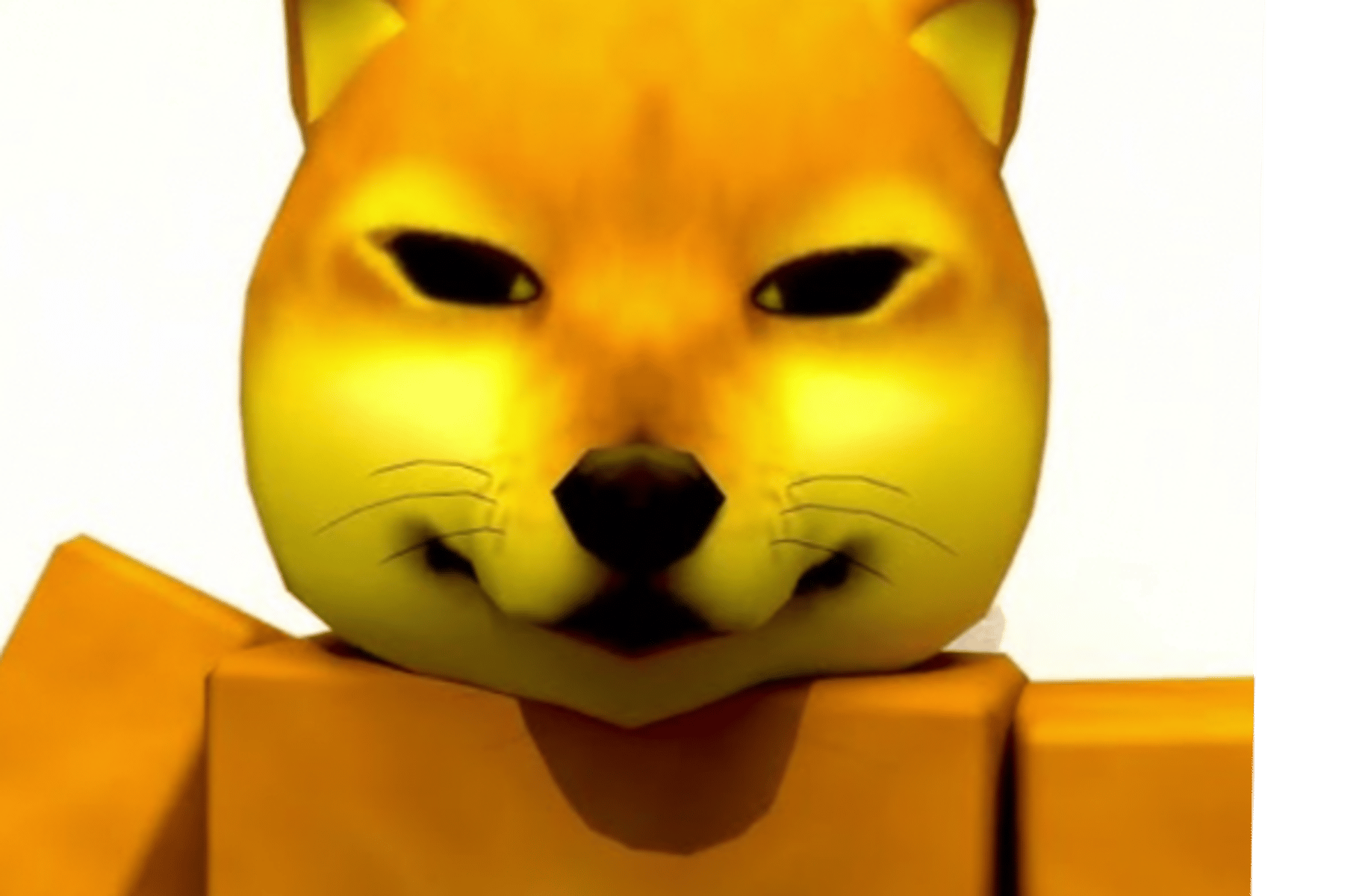 BonkieDoge