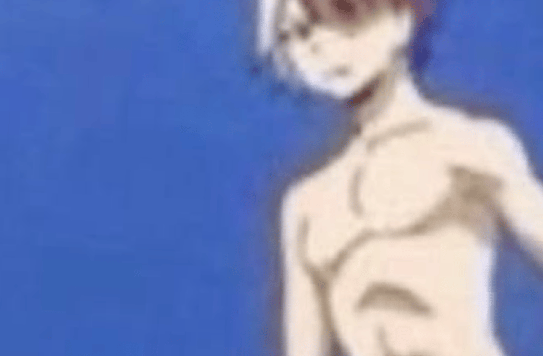 Shoto todoroki