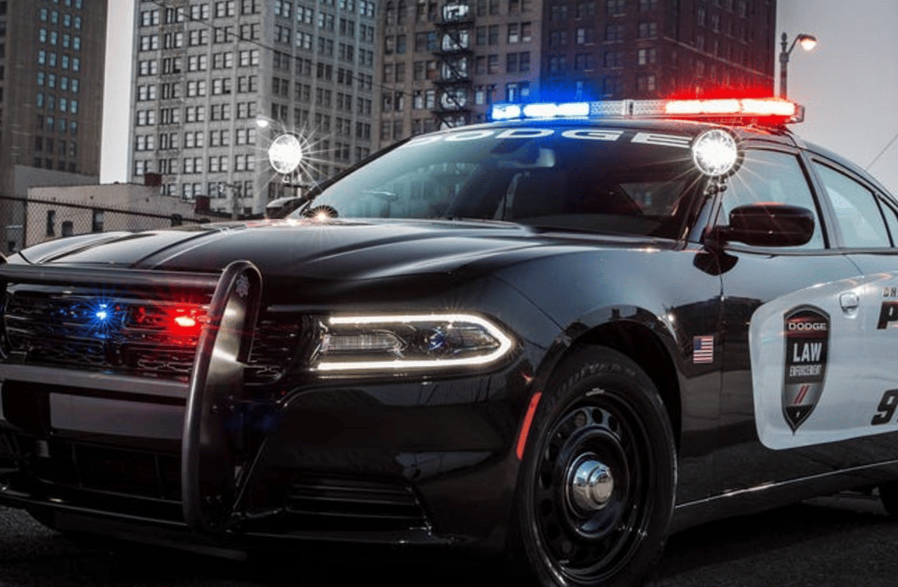 Wolf Cop
