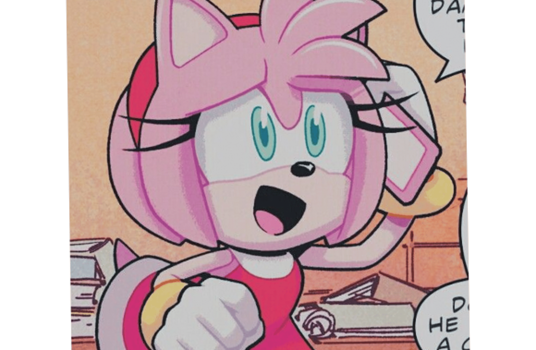 AMY ROSE