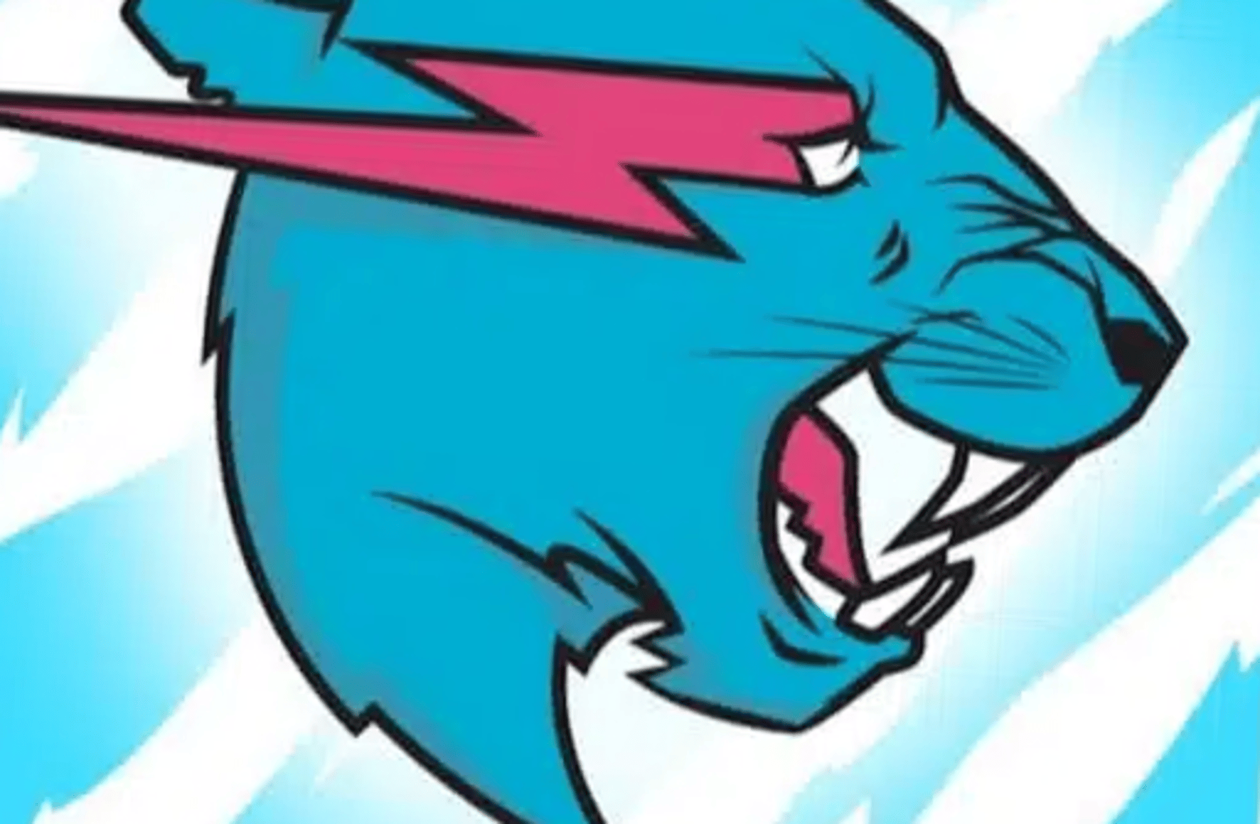 Mr beast
