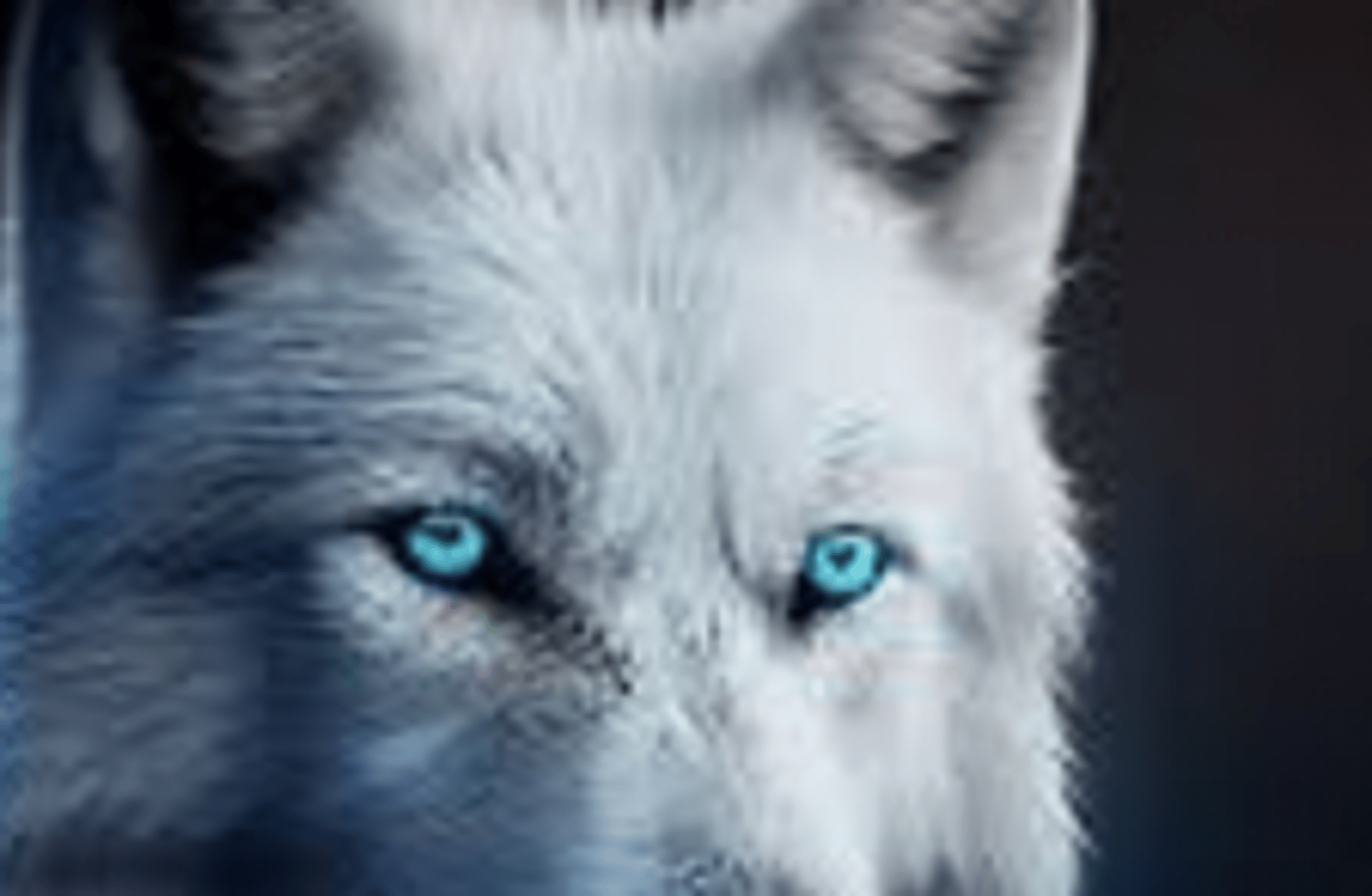 Ice wolf