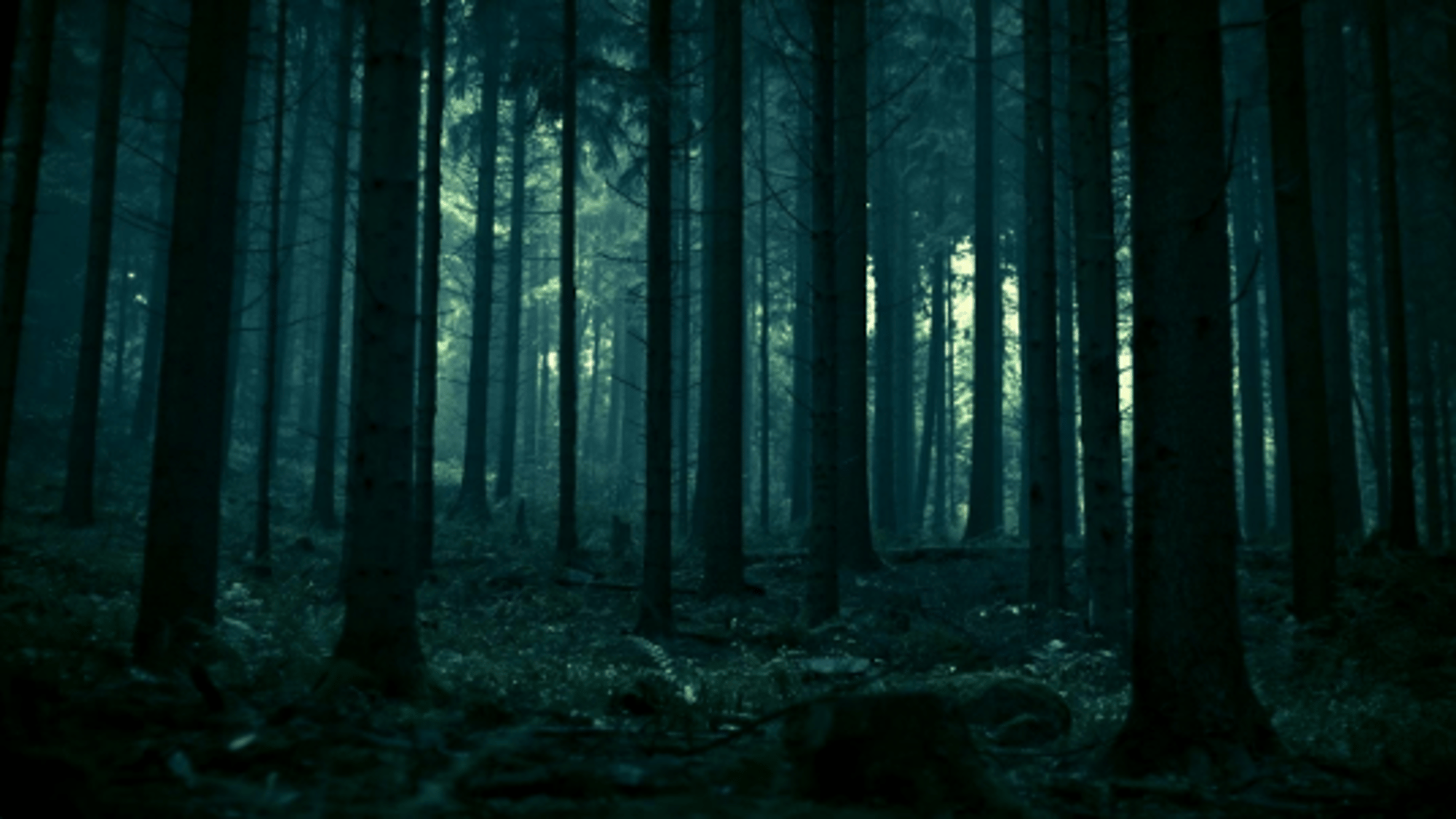 Simon-Ghost-Riley (lost)