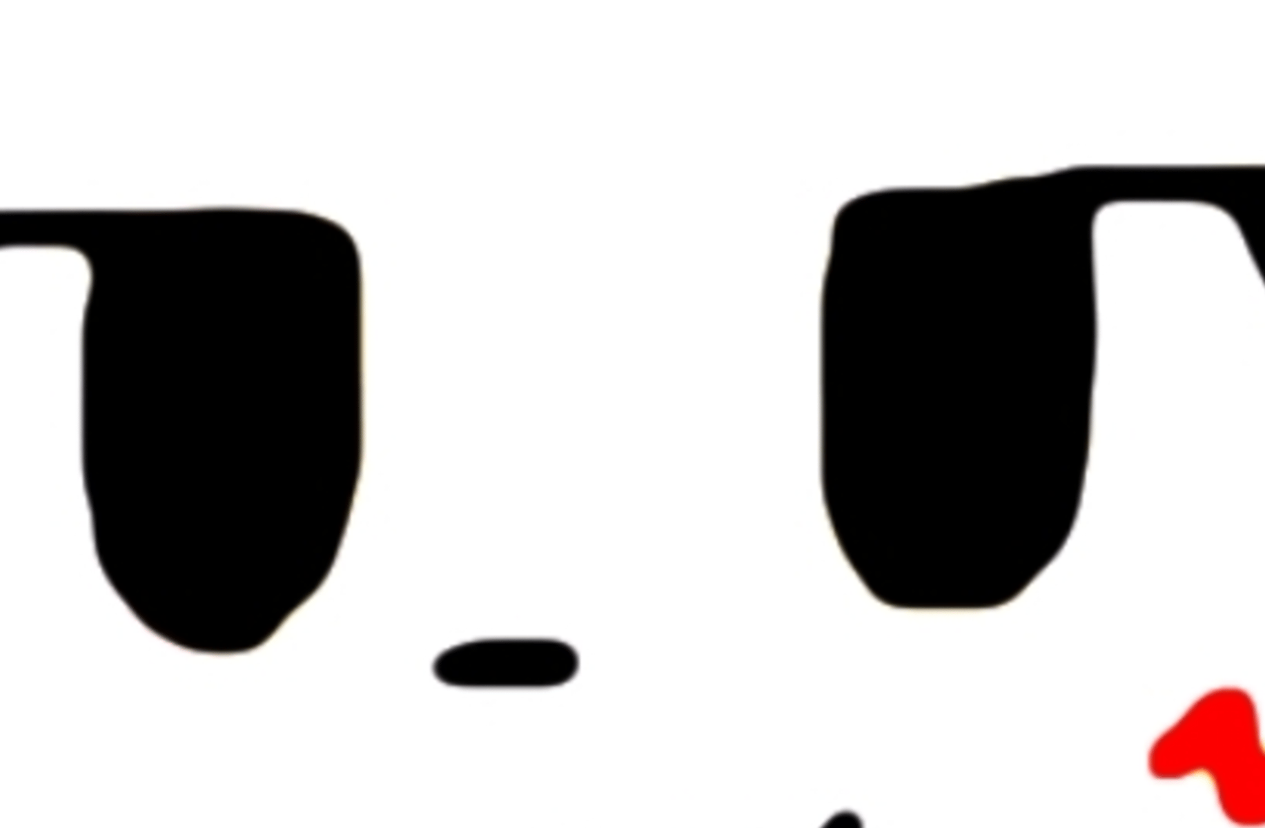 Silly cat