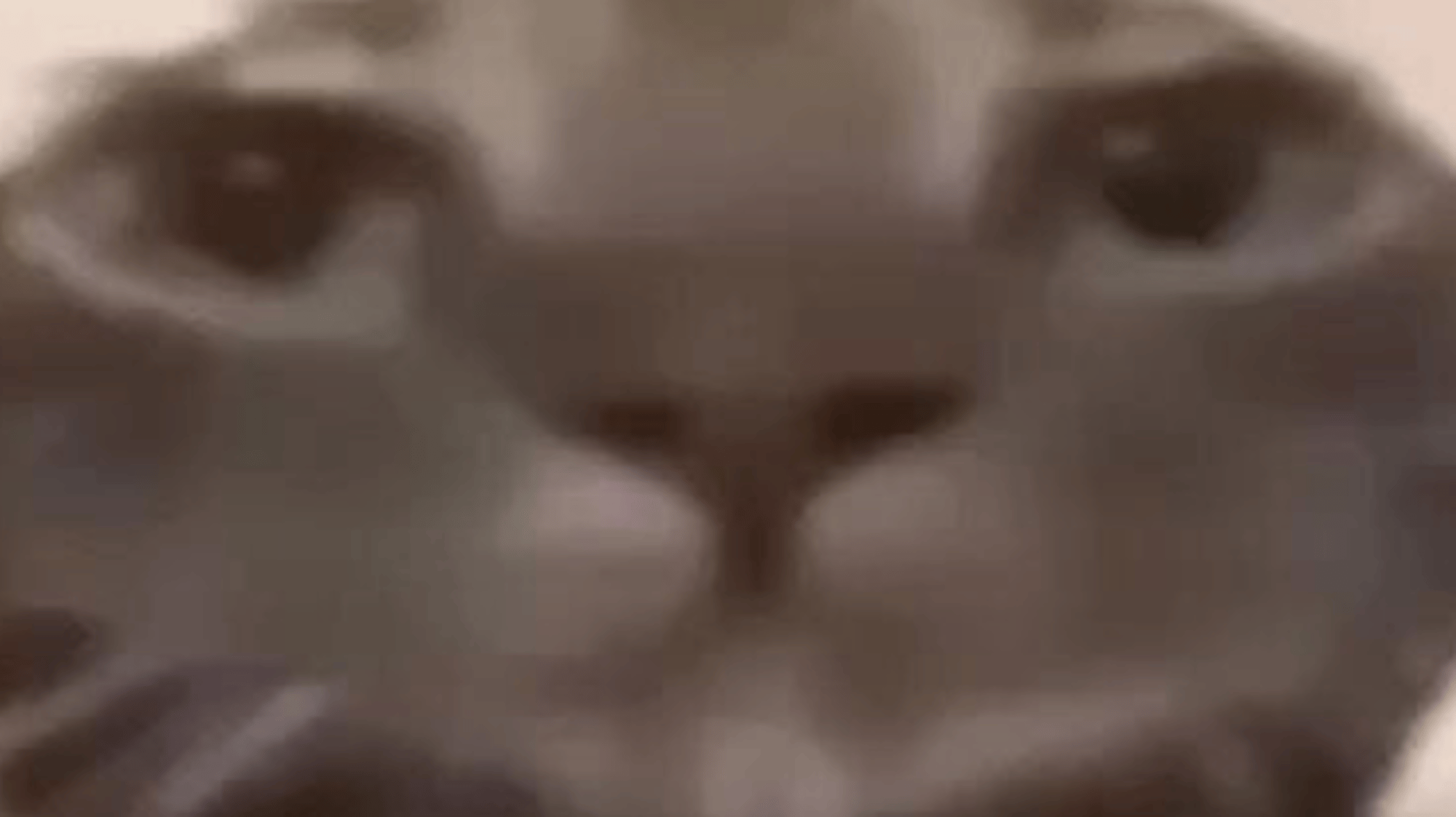 Stepsis stuck in machine