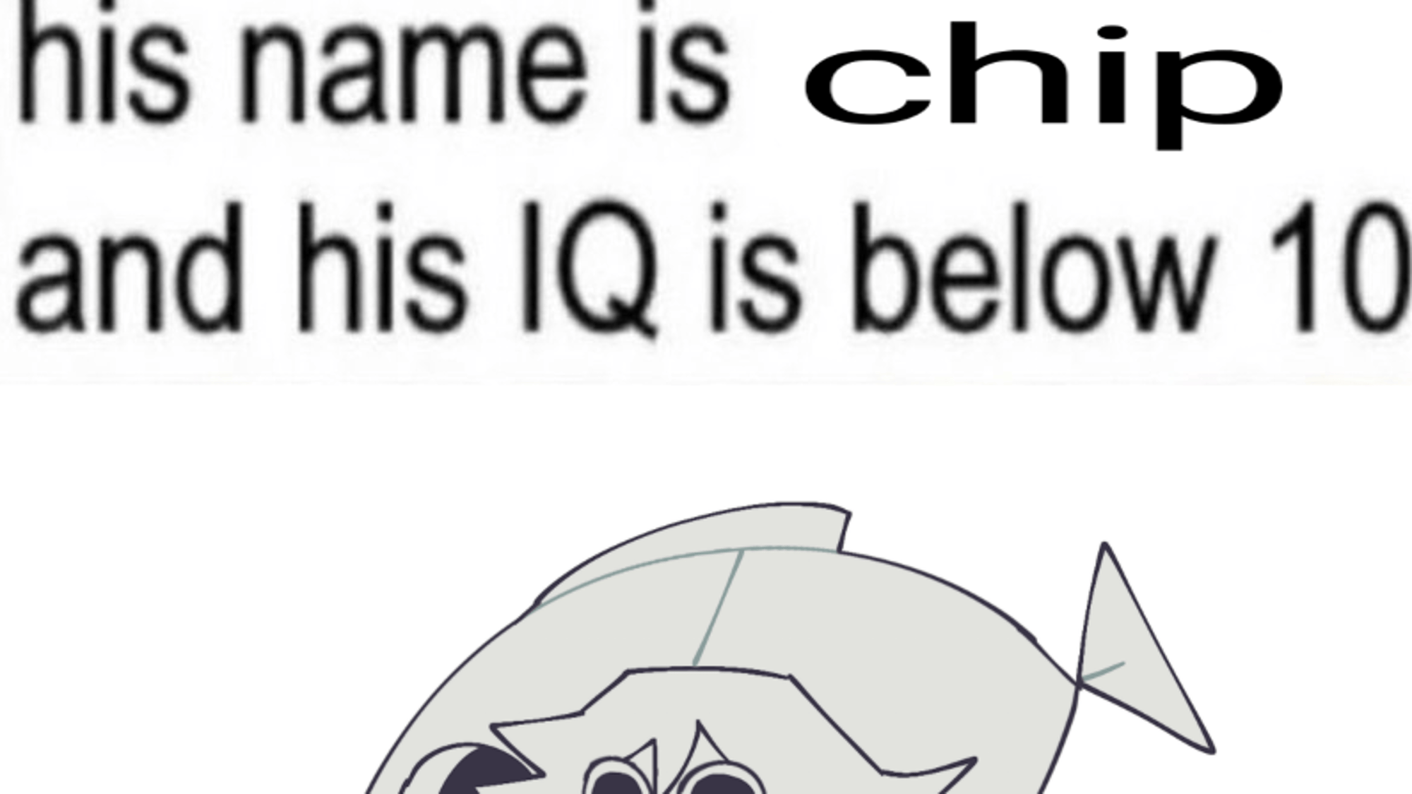 Chip (FPE)