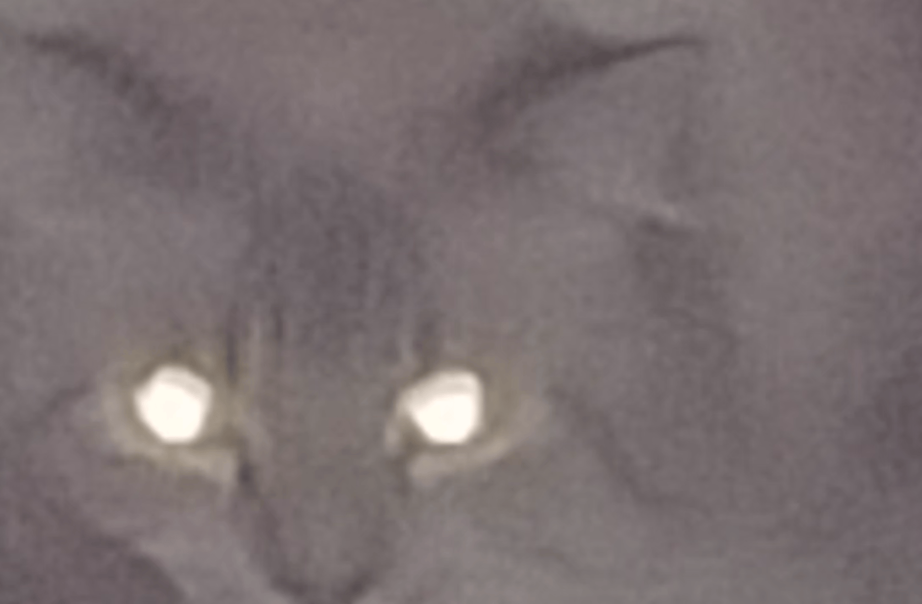 Possessed ming ming