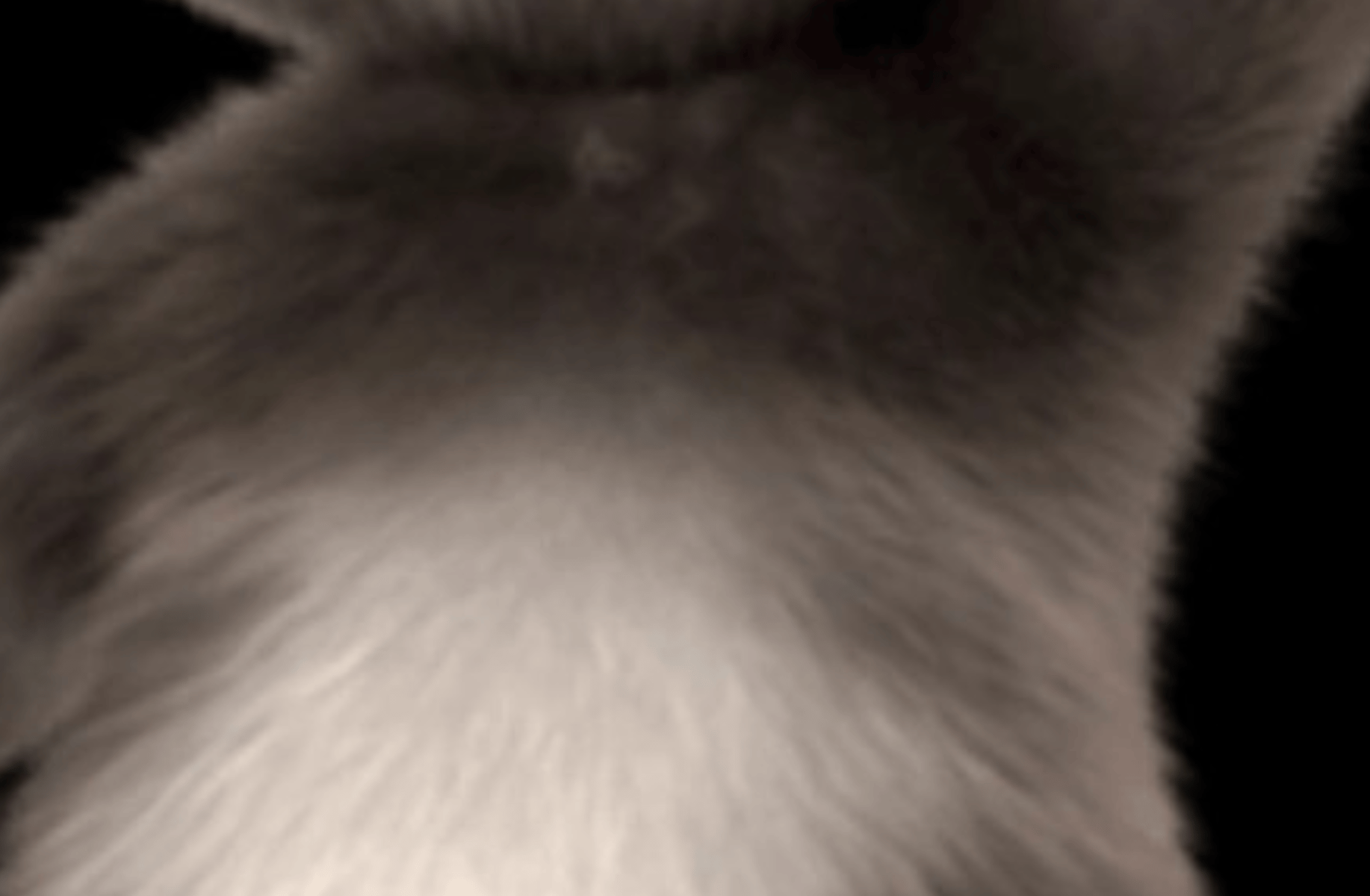 Tom