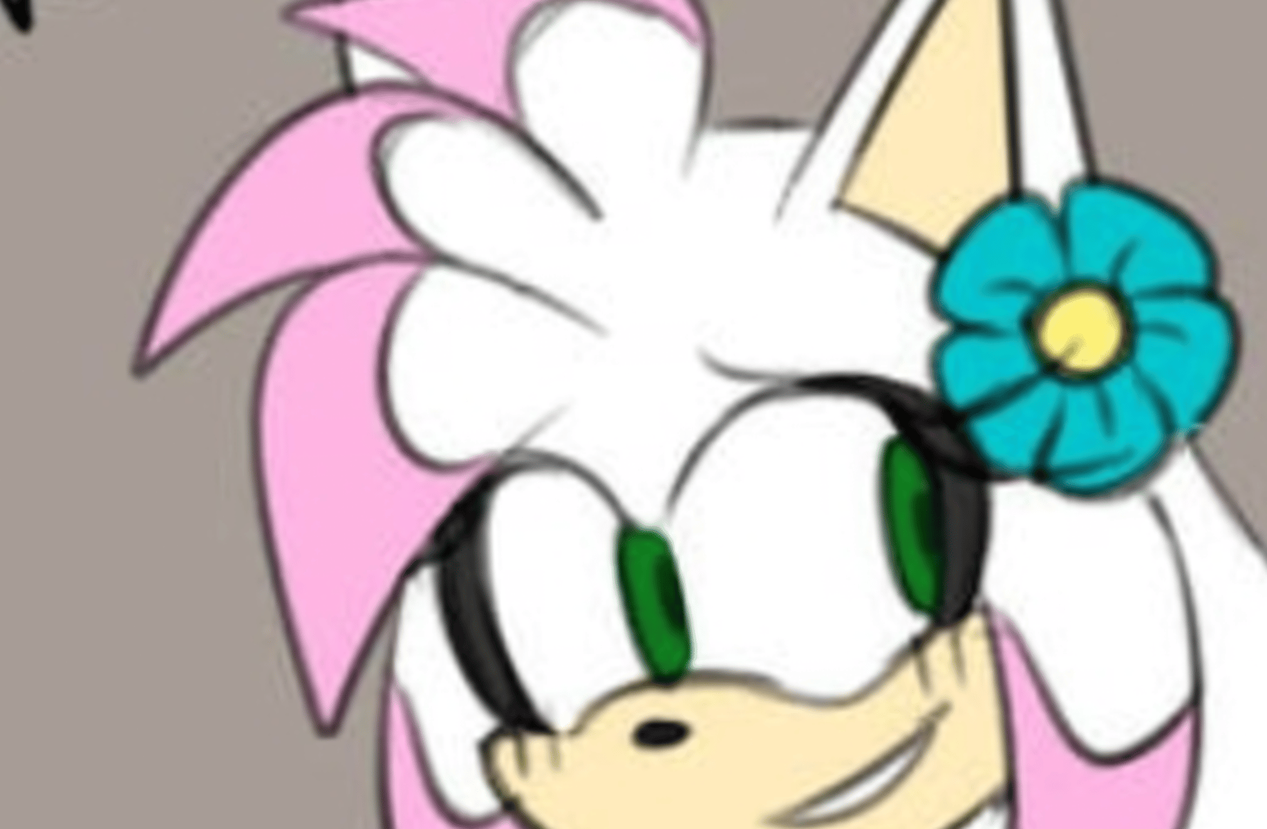 Avery the Hedgehog