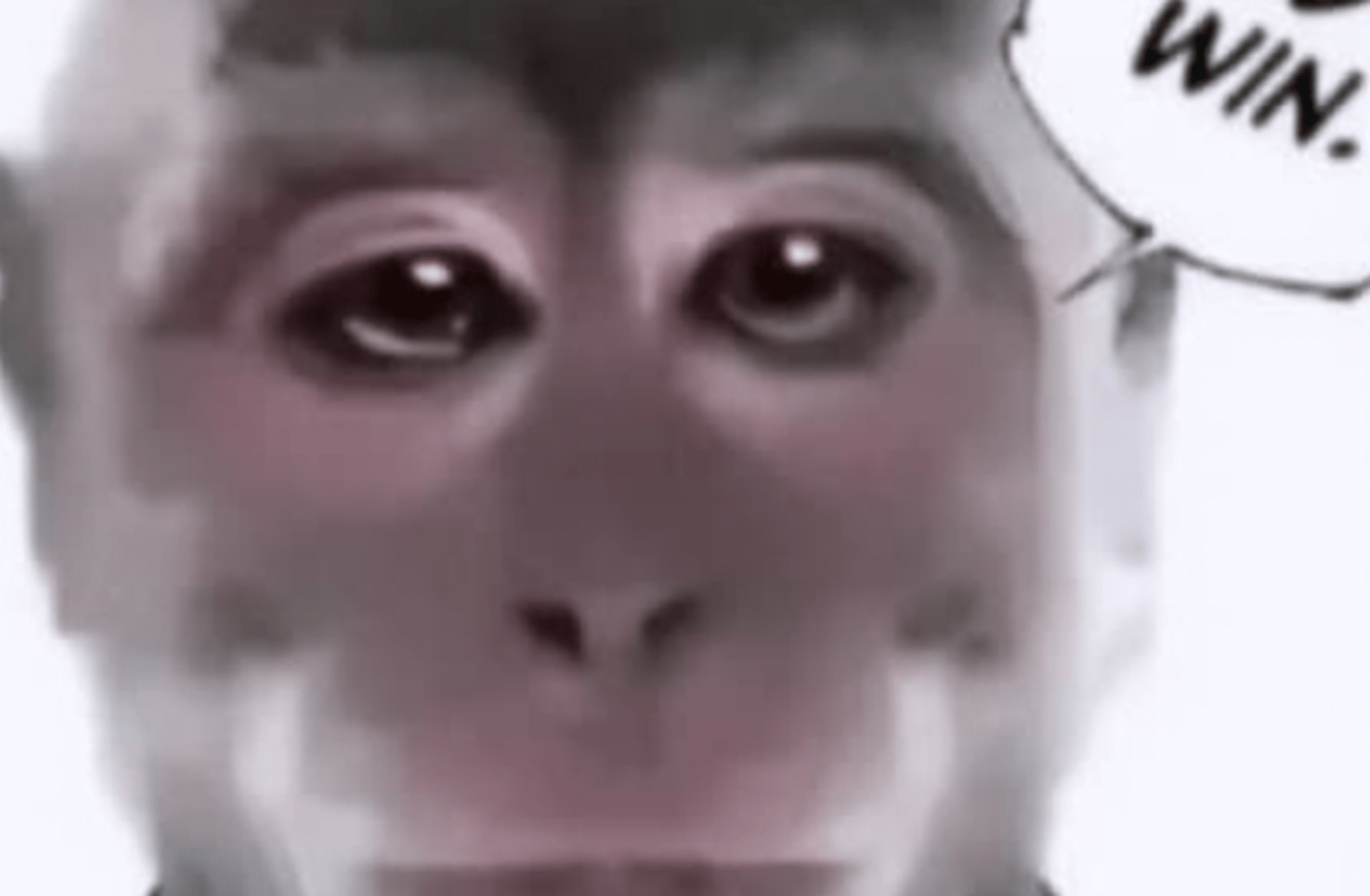 Smegma monkey