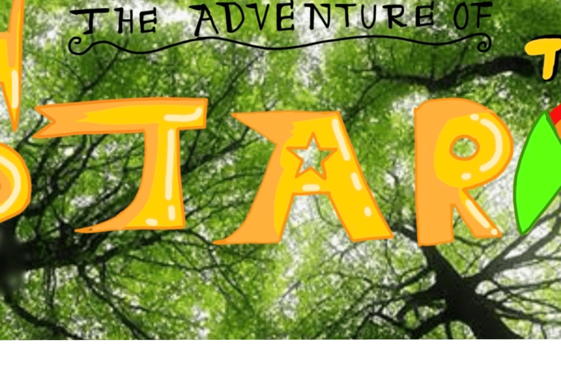 THE ADVENTURE OF STAR