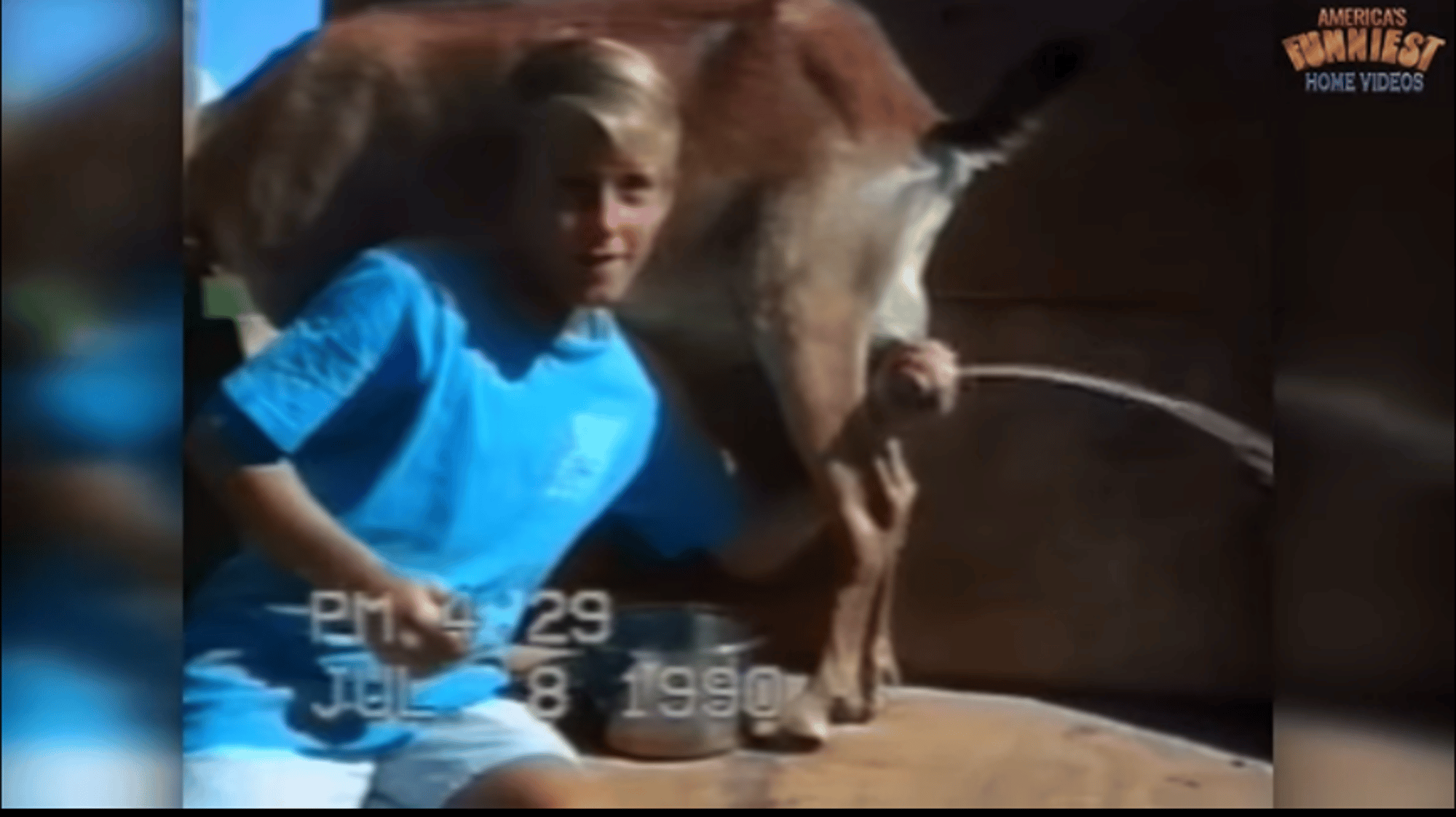 Boy