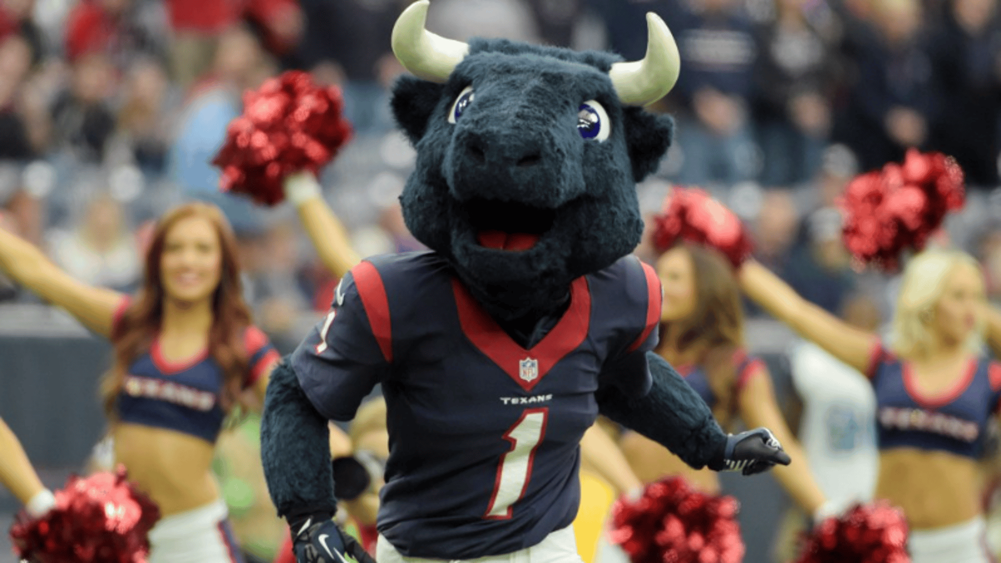 Toro the bull