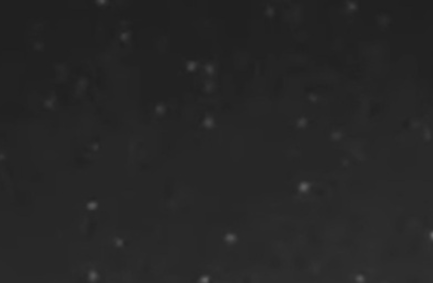 Pick me girls at beach