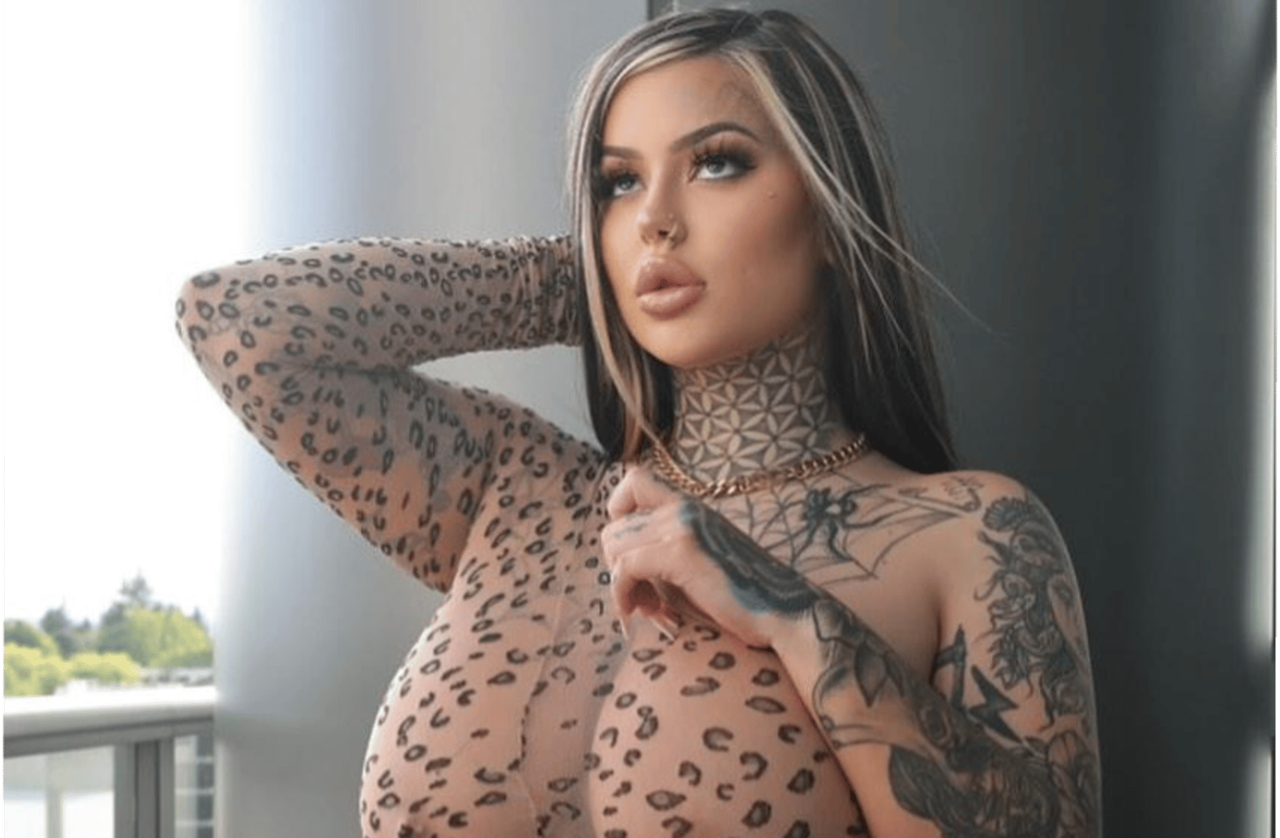 Vixen