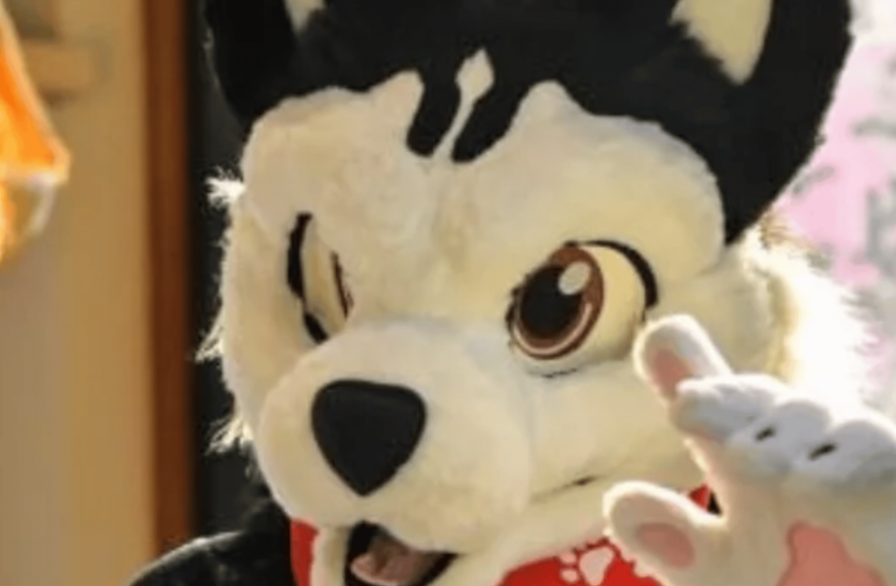 Furry
