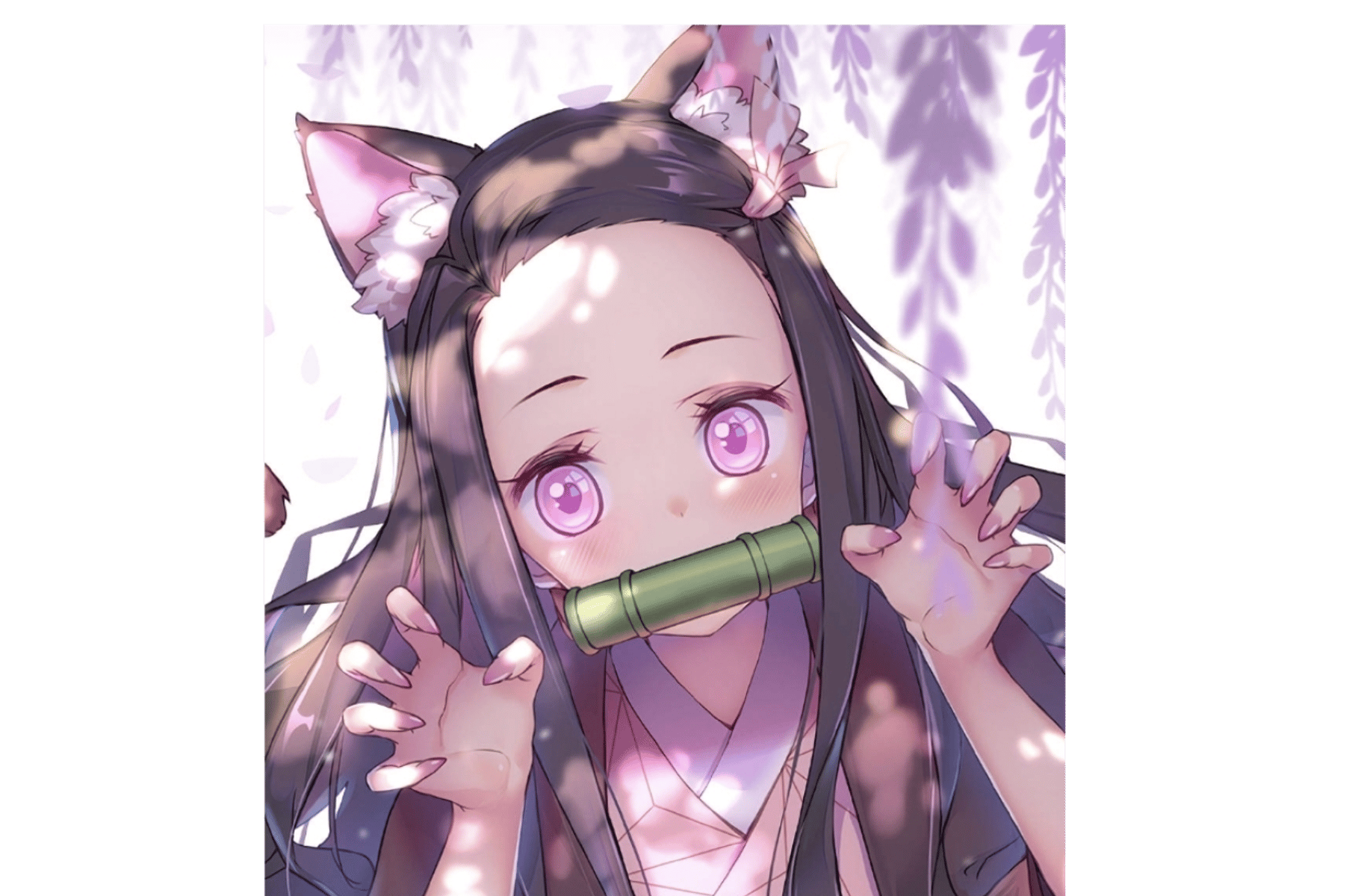 Your cat Nezuko