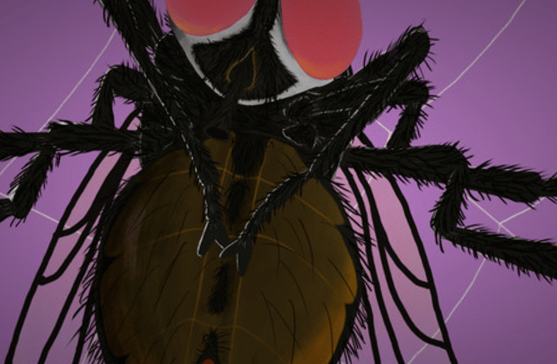 Arthropod love panic