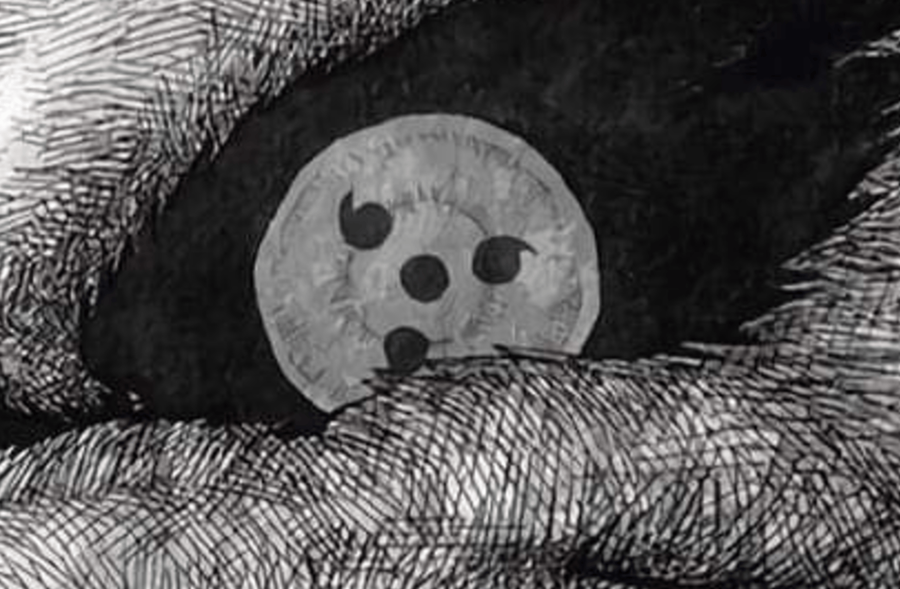 Catmoon